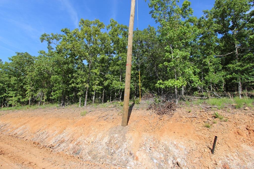 53 Sierra Sunset Cove  Conway, AR