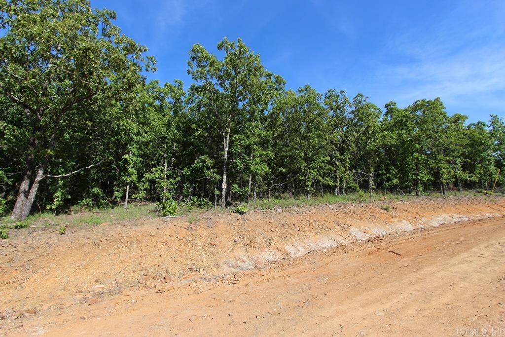 53 Sierra Sunset Cove  Conway, AR