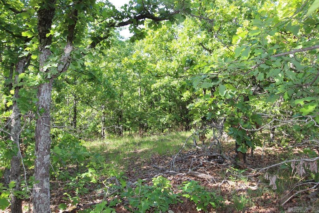53 Sierra Sunset Cove  Conway, AR