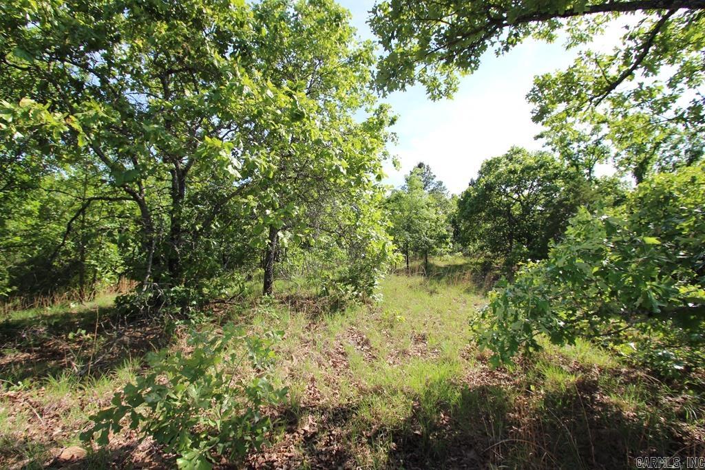 53 Sierra Sunset Cove  Conway, AR
