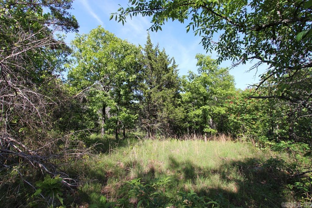 57 Sierra Sunset Cove  Conway, AR