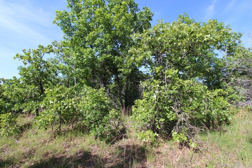 57 Sierra Sunset Cove  Conway, AR