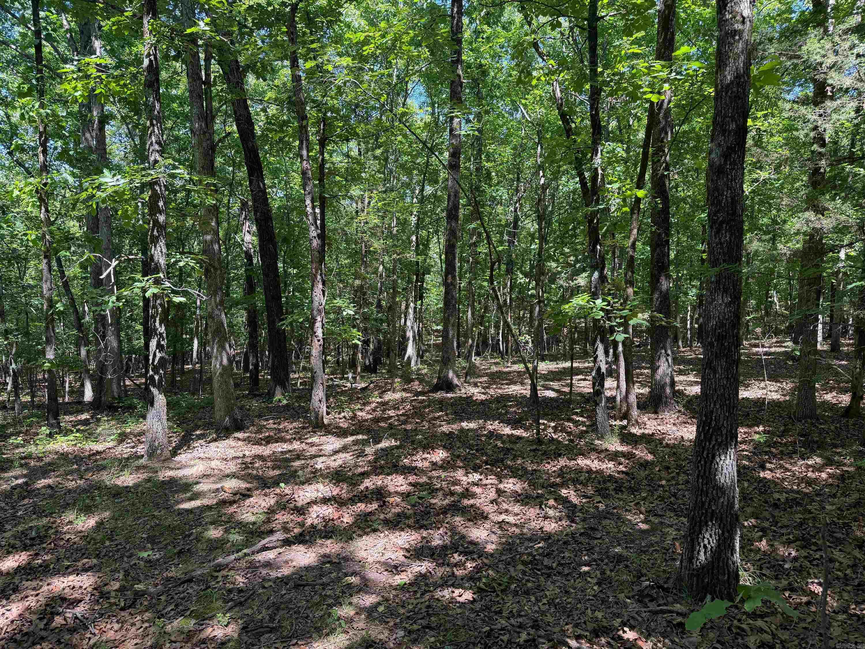  Overlook Dr  Bradford, AR