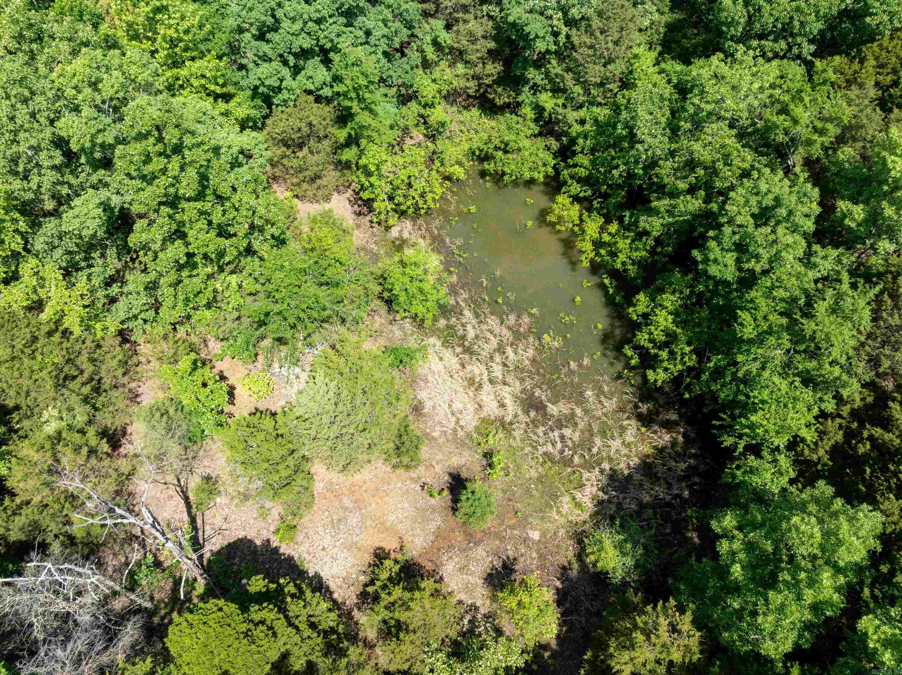  Overlook Dr  Bradford, AR
