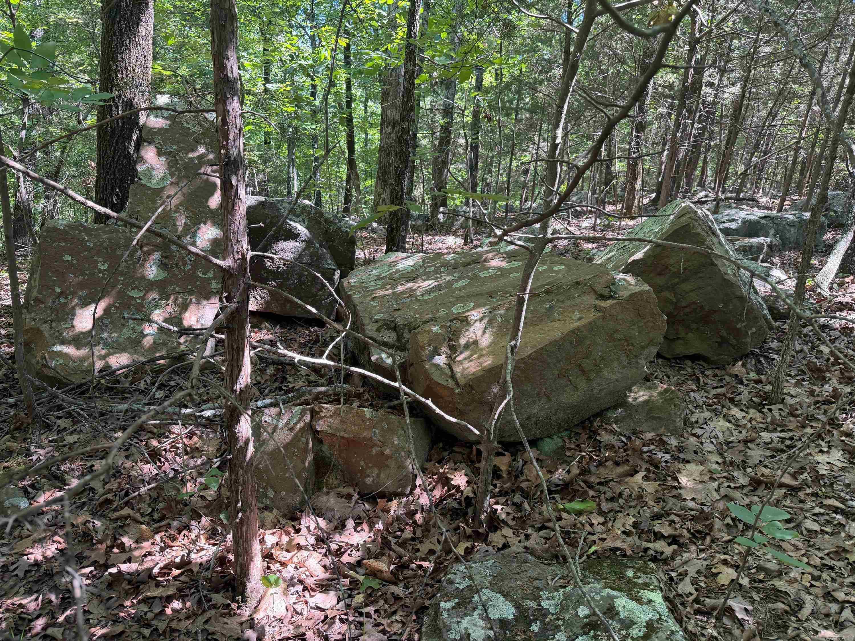  Overlook Dr  Bradford, AR