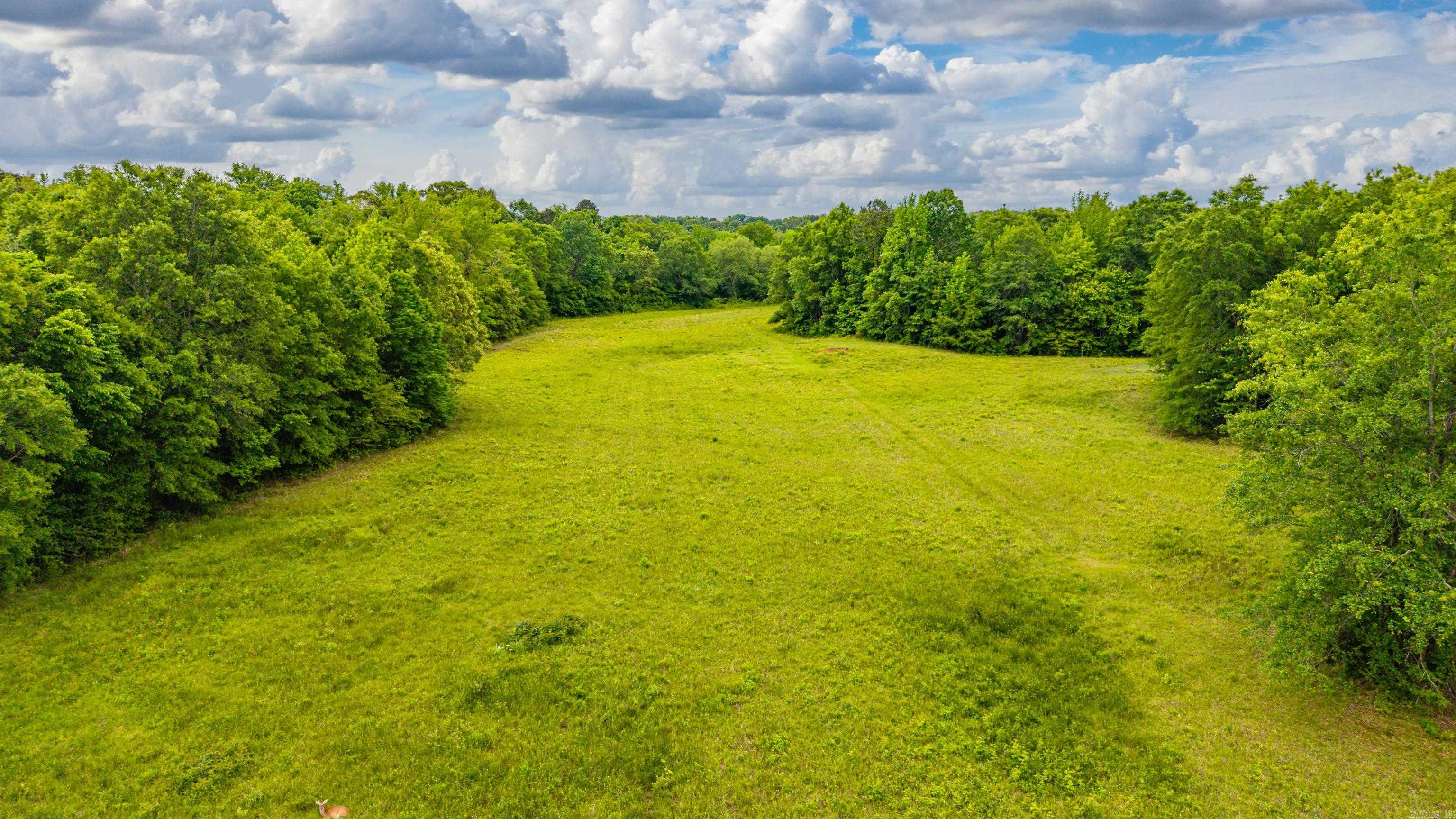 371 Highway 128  Bismarck, AR
