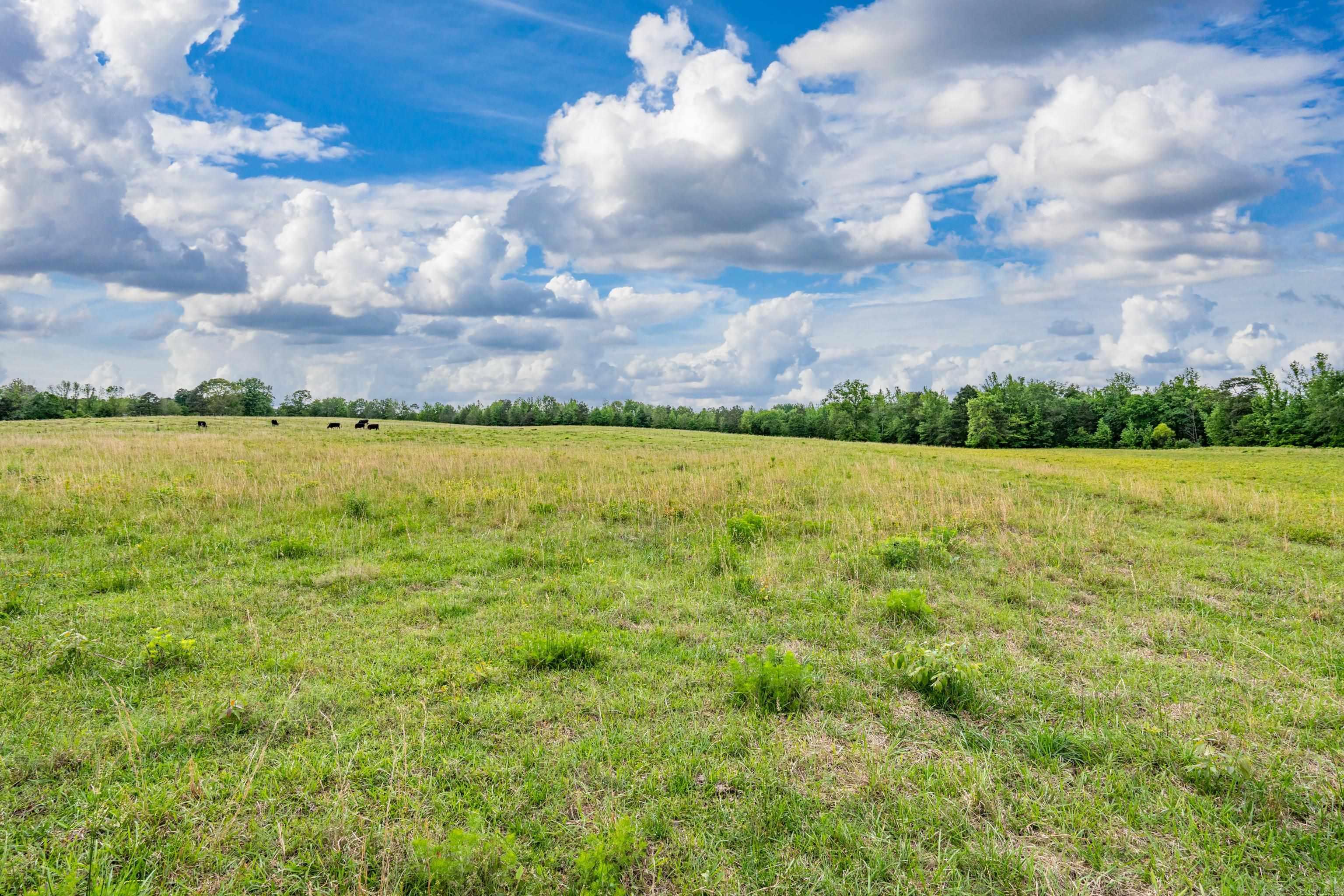 371 Highway 128  Bismarck, AR