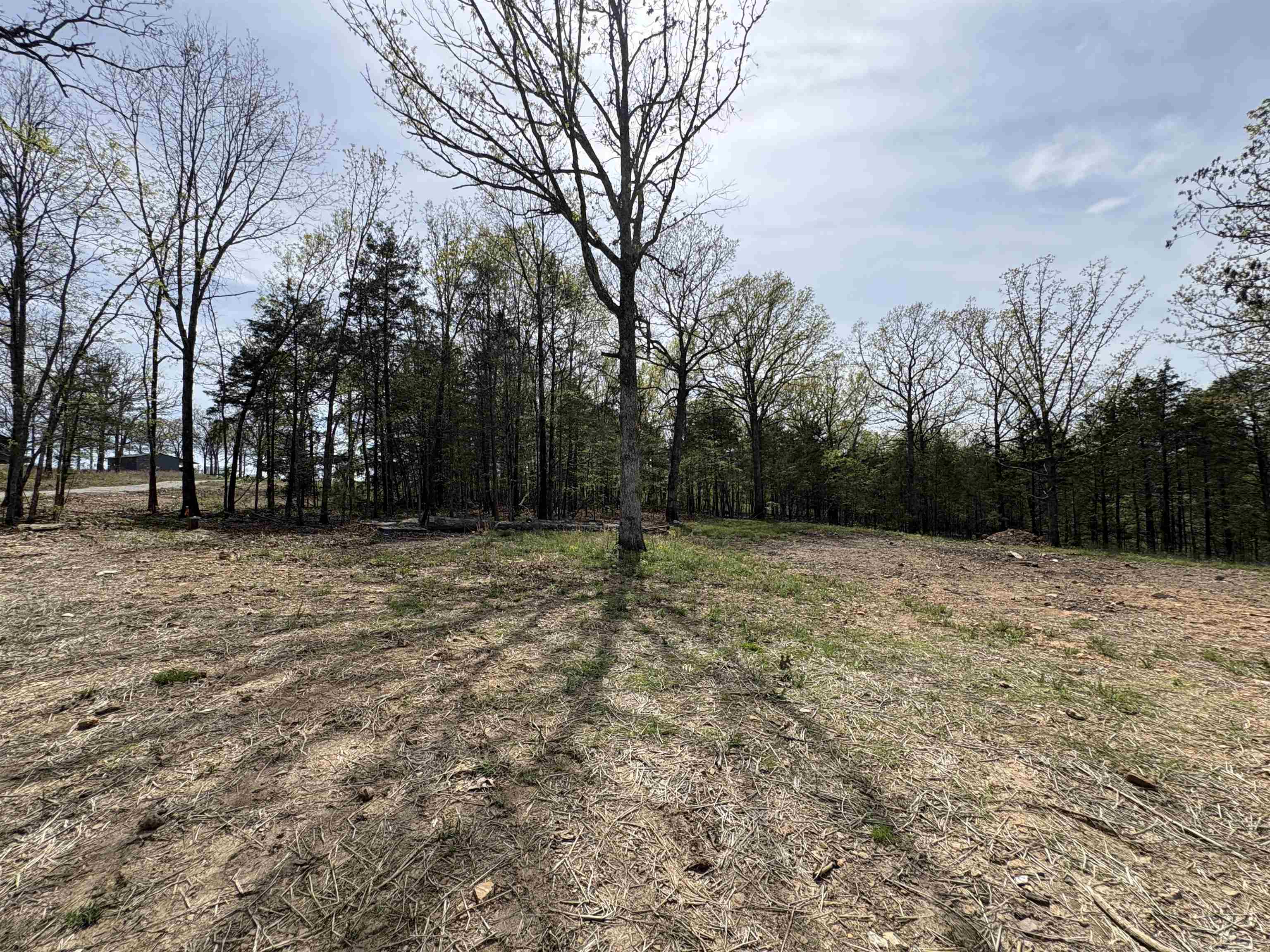 3044 Buford Cutoff + 8.75 Acres  Mountain Home, AR