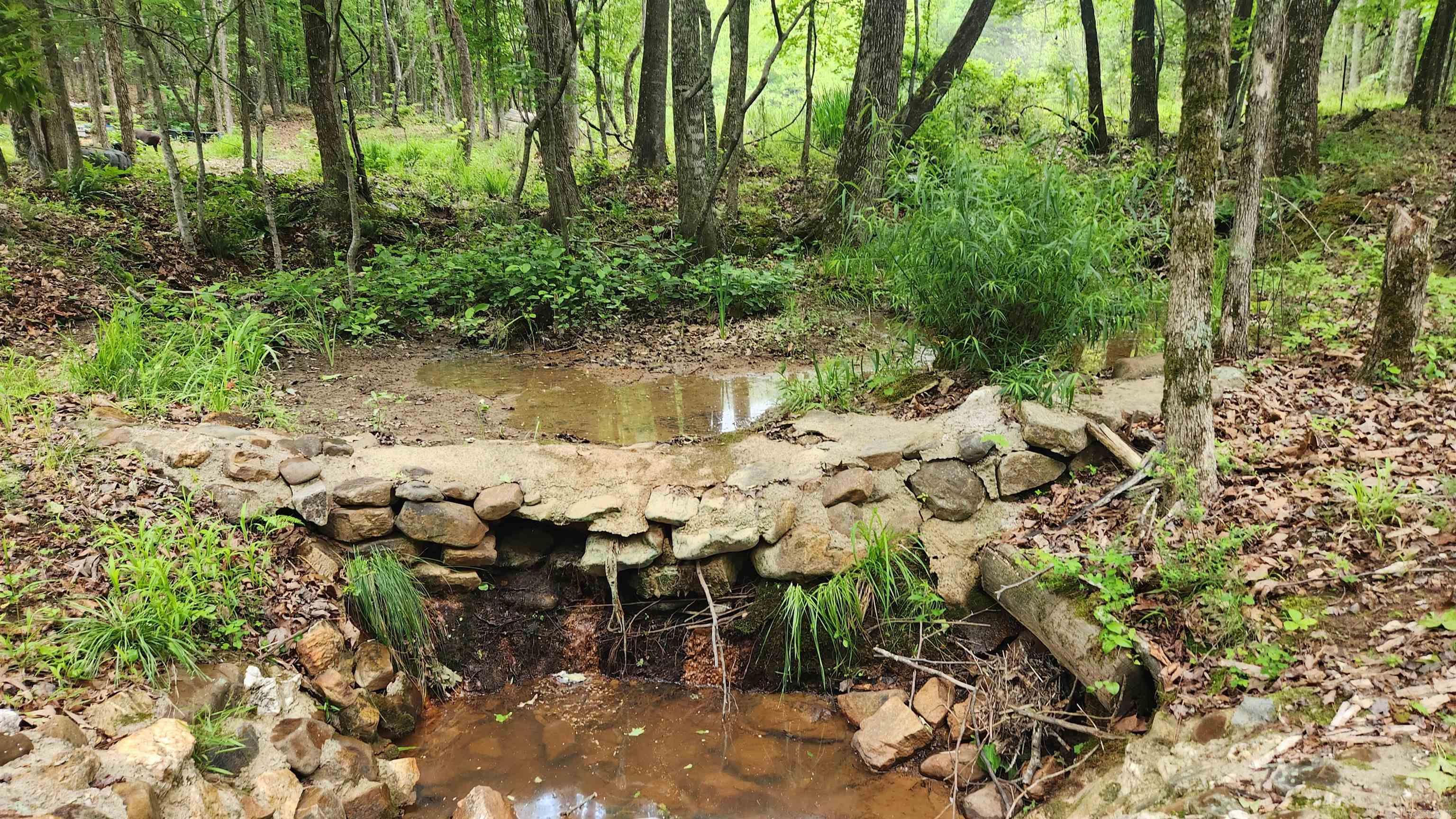 598 Ryan Road  Oden, AR
