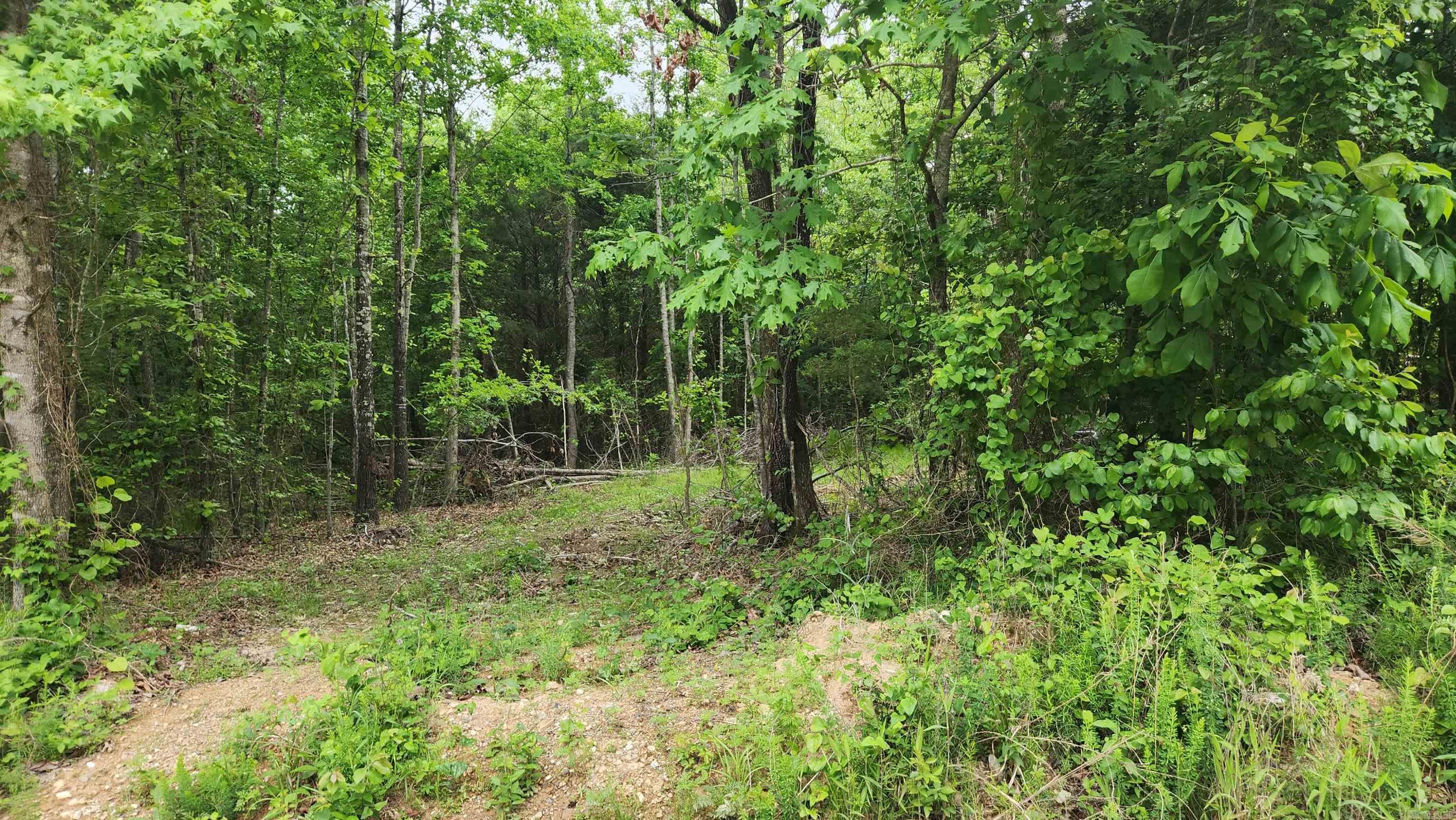 598 Ryan Road  Oden, AR