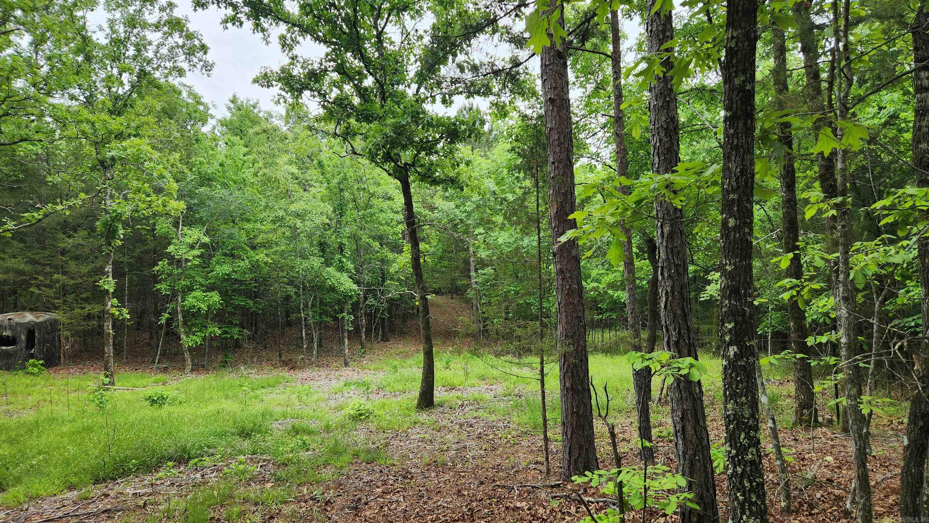 598 Ryan Road  Oden, AR