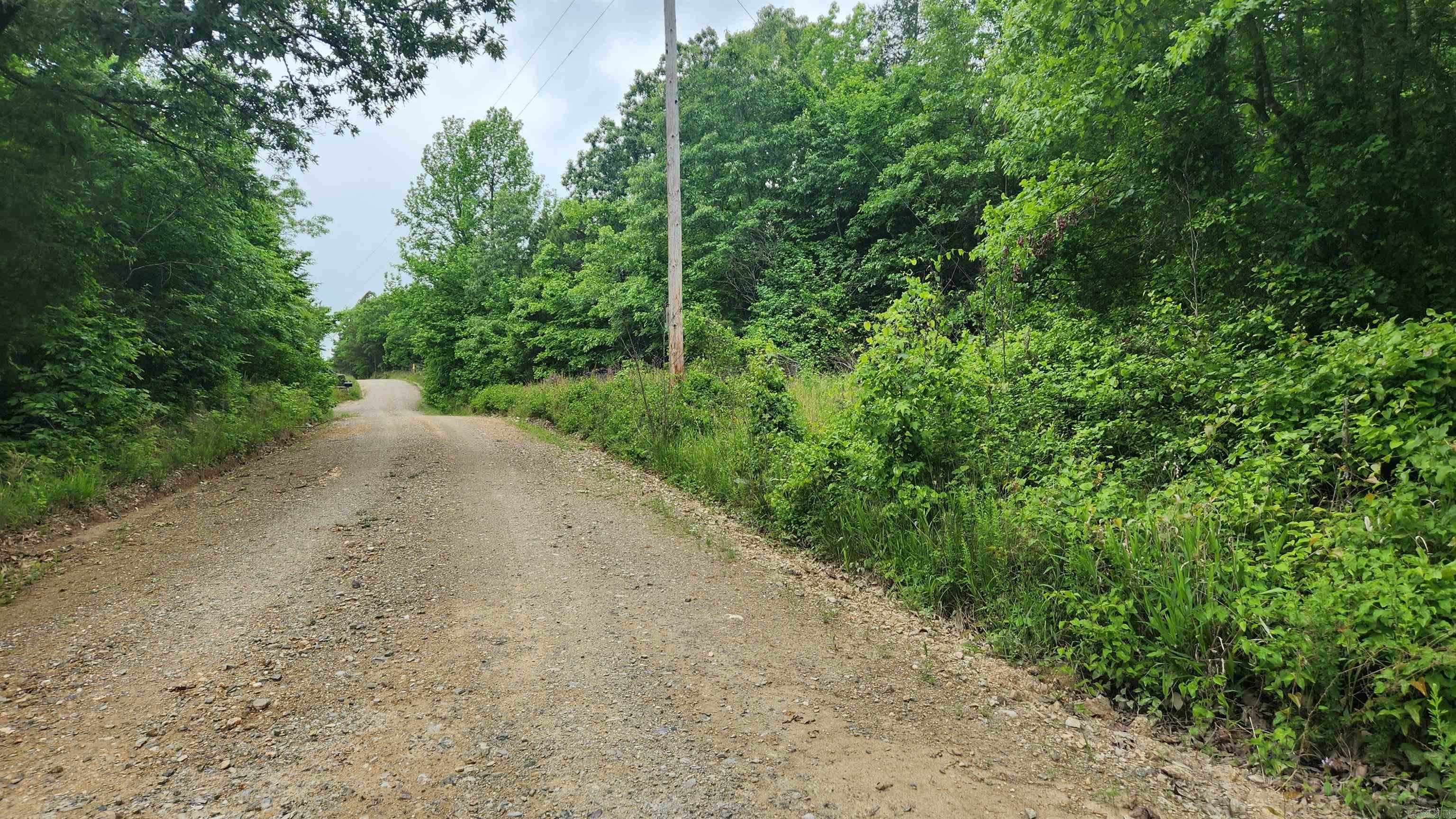 598 Ryan Road  Oden, AR