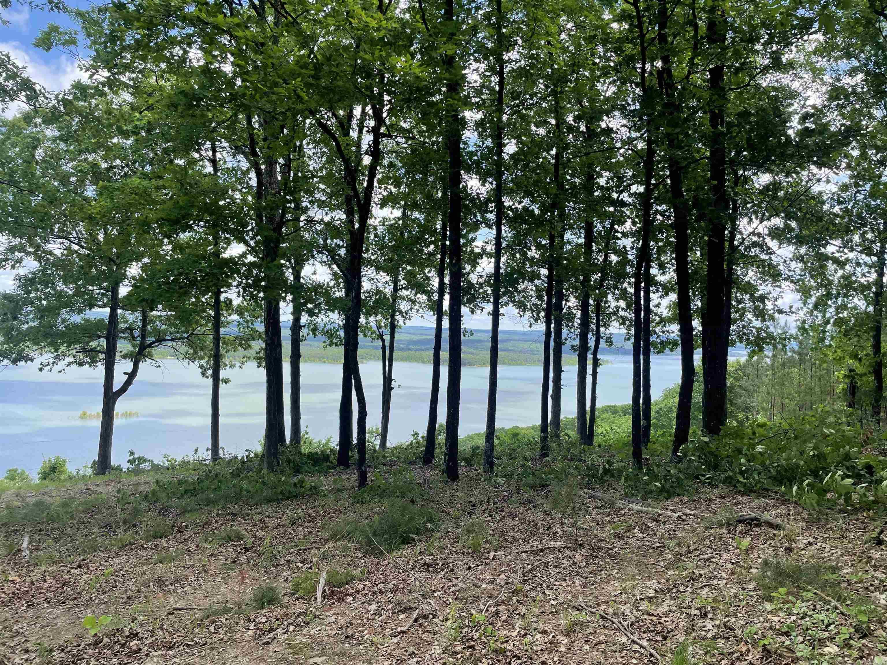 0 Diamond Bluff  Quitman, AR