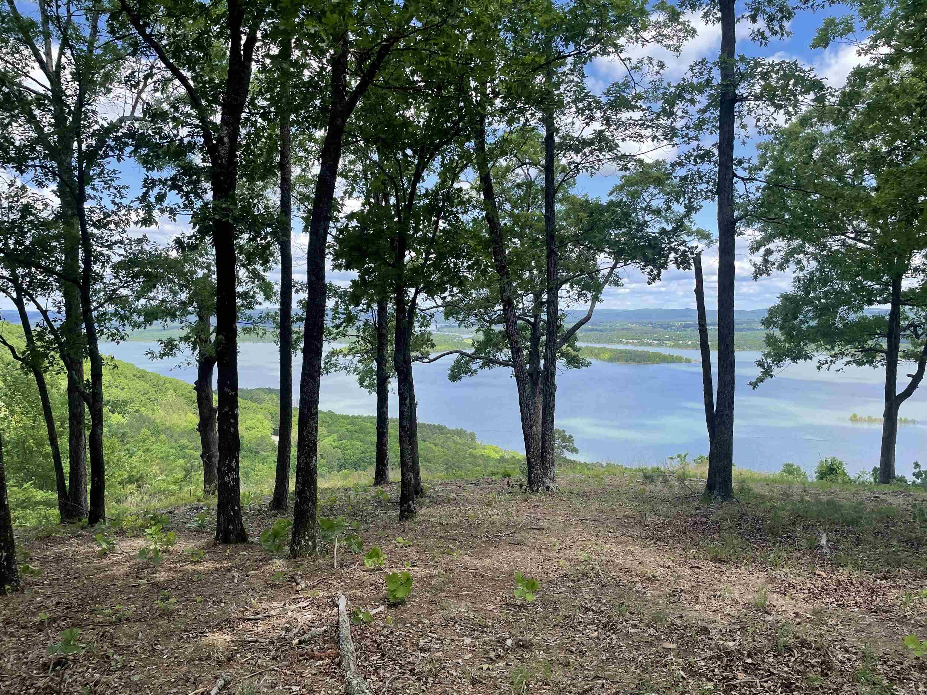 0 Diamond Bluff  Quitman, AR