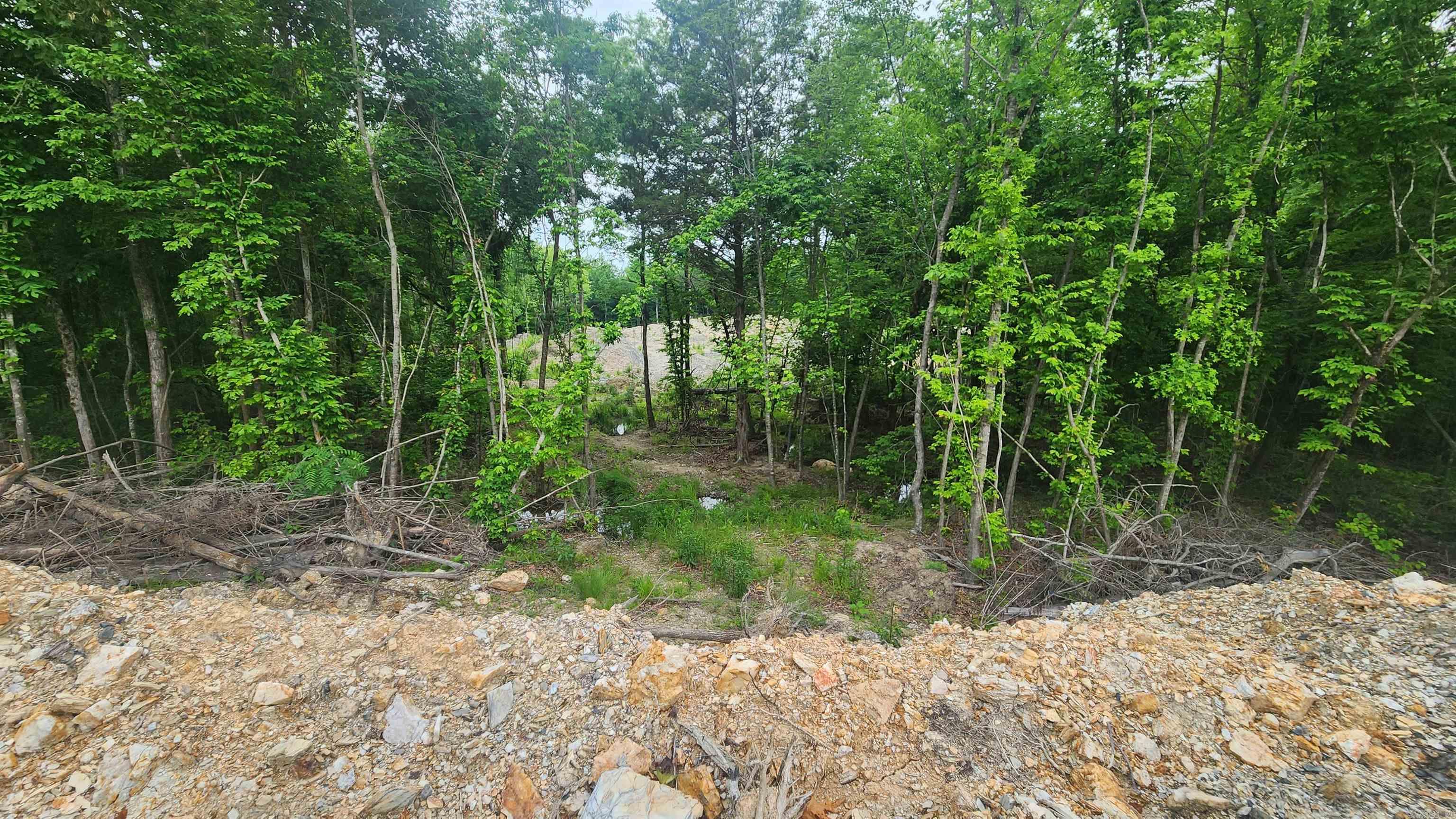 515 Ryan Road  Oden, AR