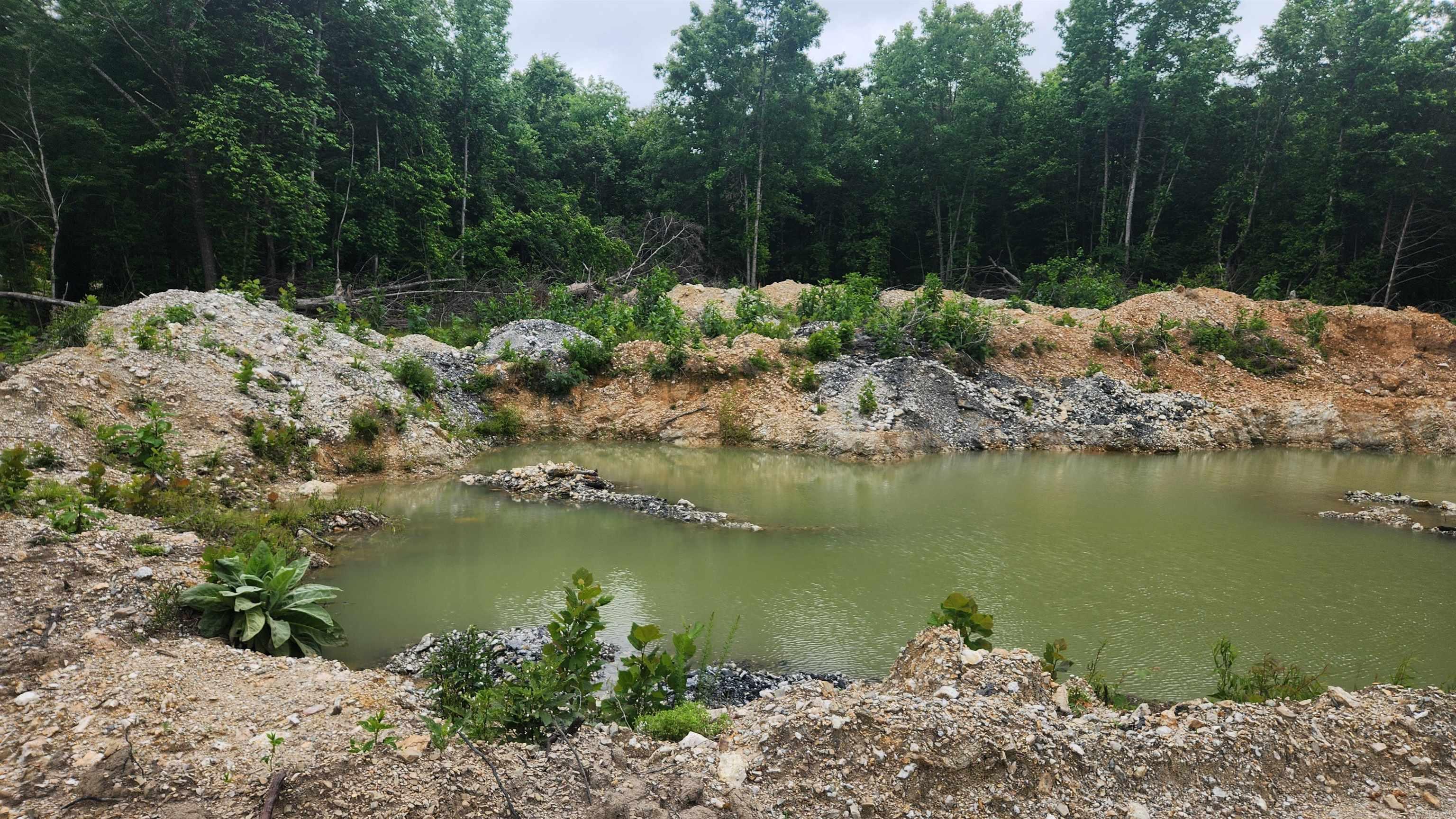 515 Ryan Road  Oden, AR