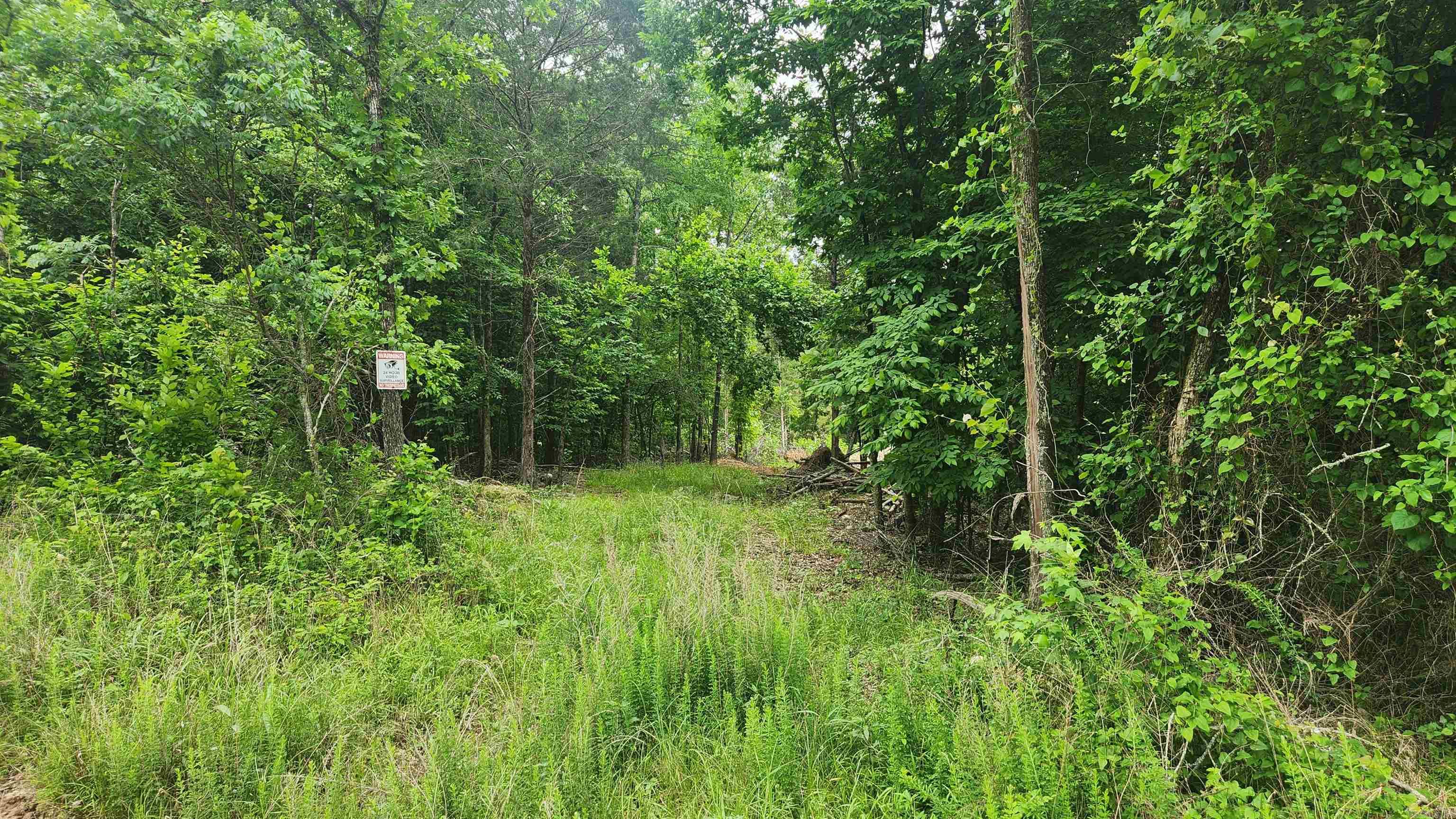 515 Ryan Road  Oden, AR