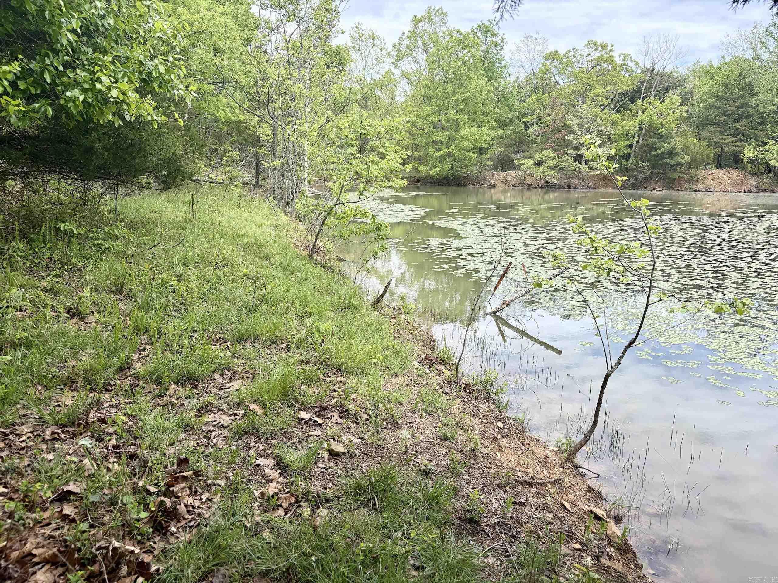 000 HWY 16  Pelsor, AR