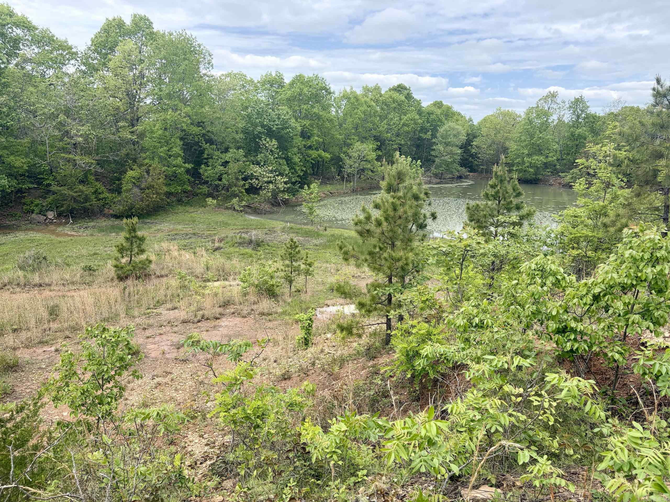 000 HWY 16  Pelsor, AR