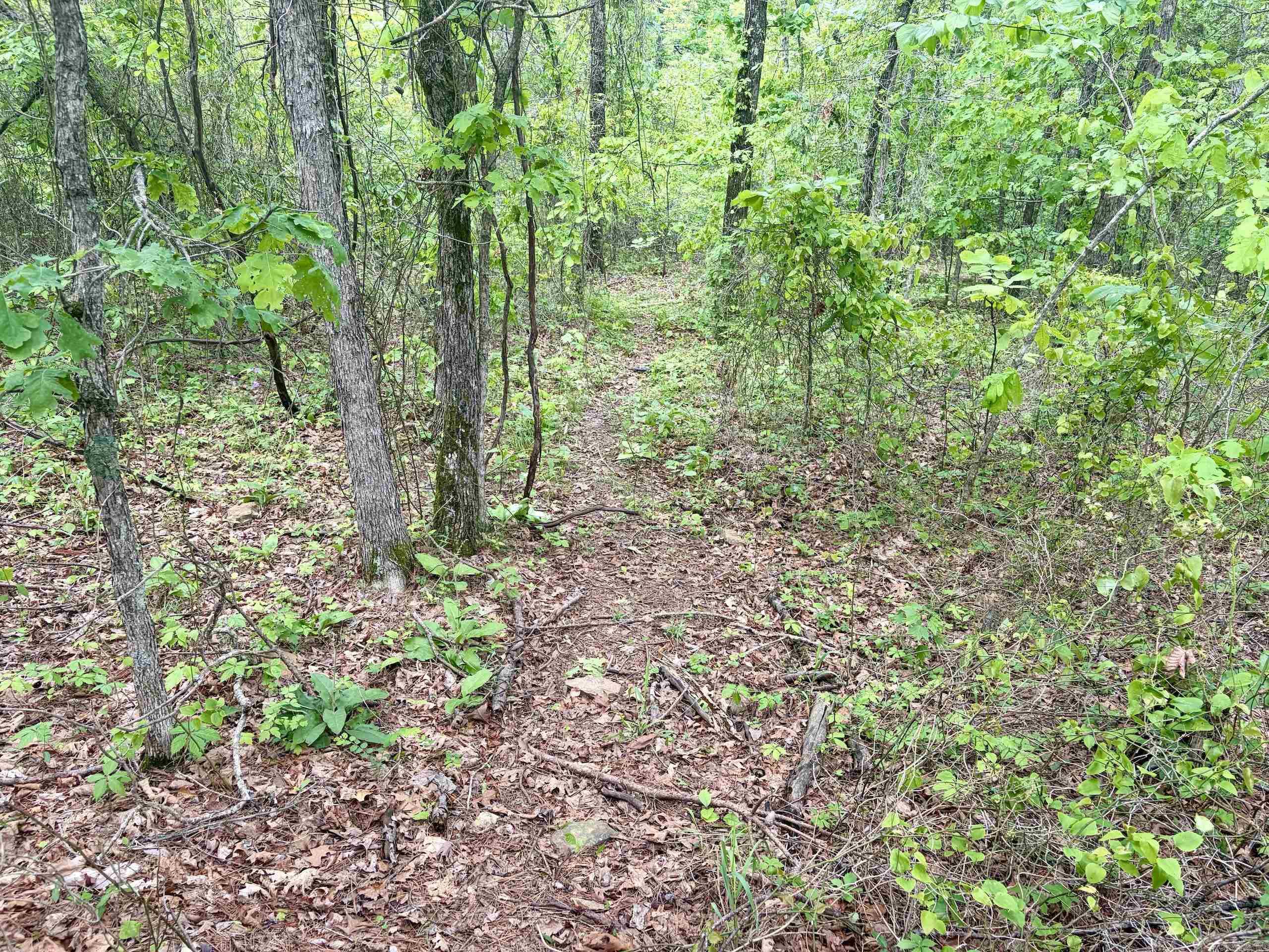 000 HWY 16  Pelsor, AR