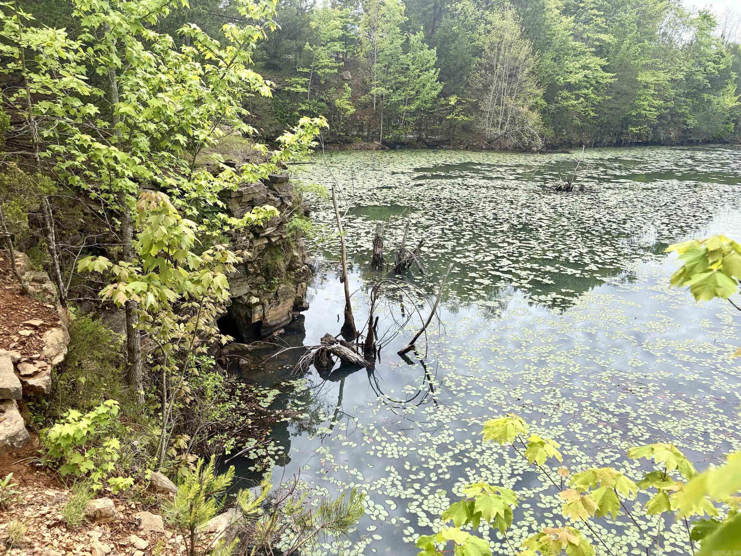 000 HWY 16  Pelsor, AR