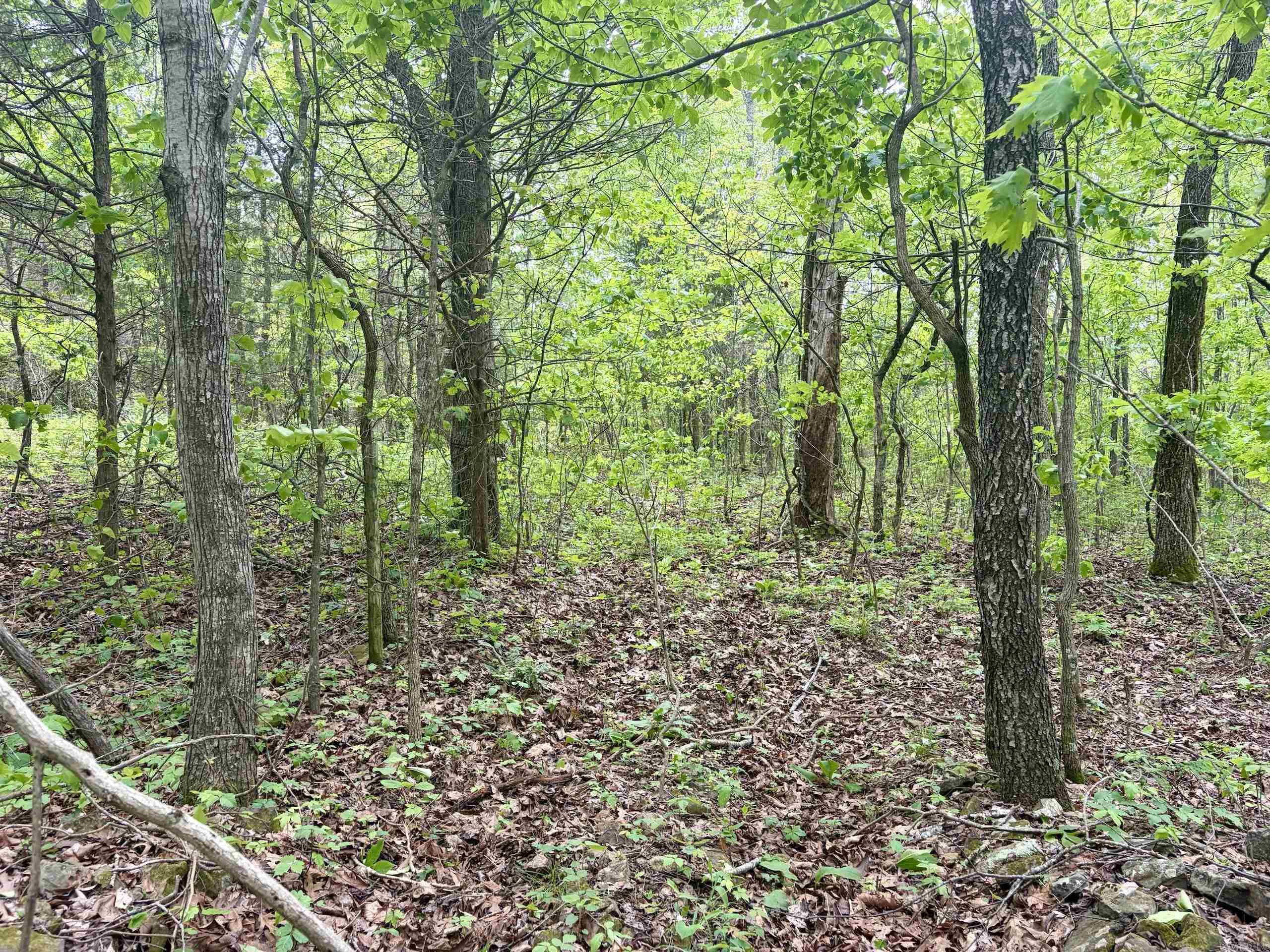 000 HWY 16  Pelsor, AR