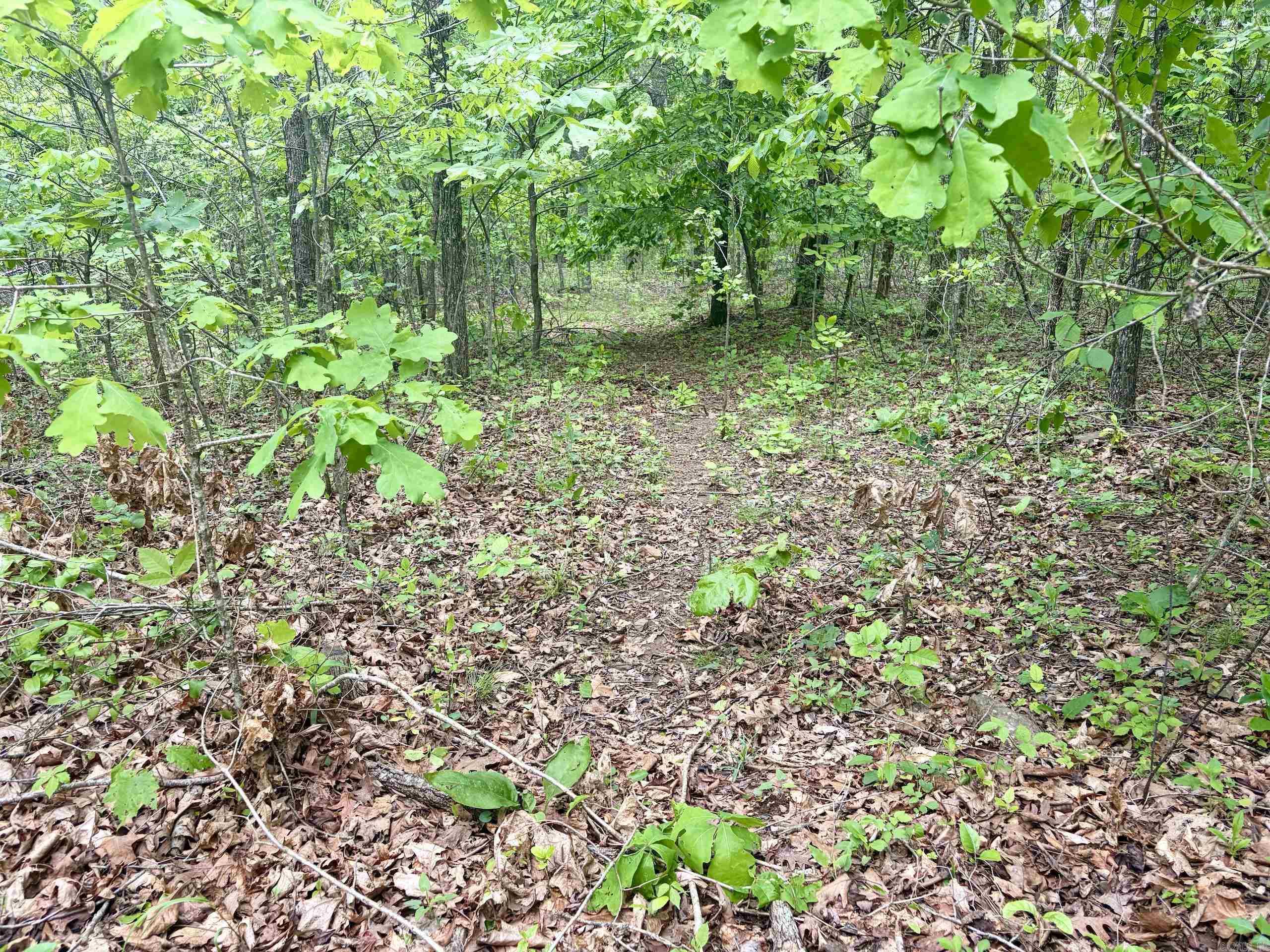 000 HWY 16  Pelsor, AR
