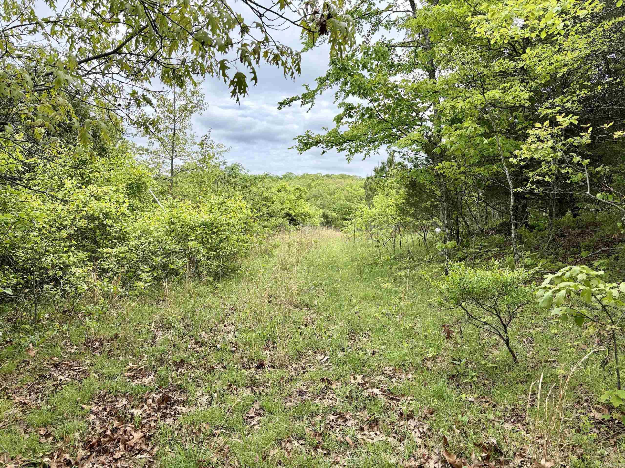 000 HWY 16  Pelsor, AR