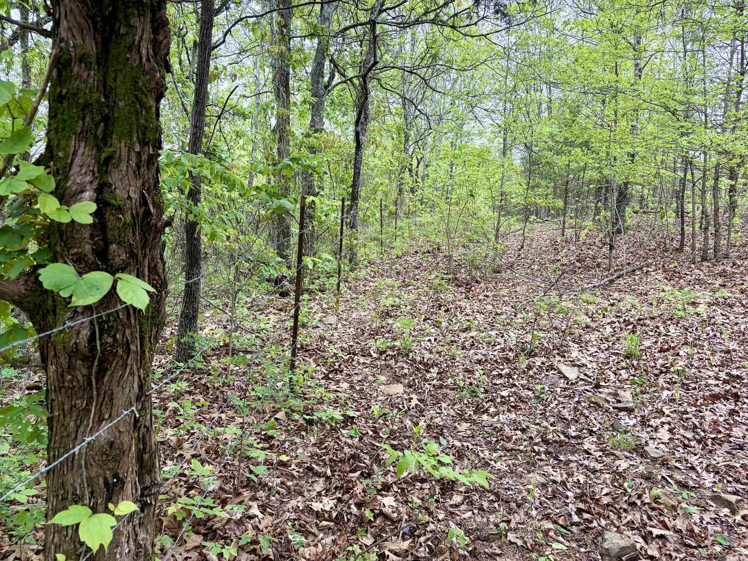 000 HWY 16  Pelsor, AR