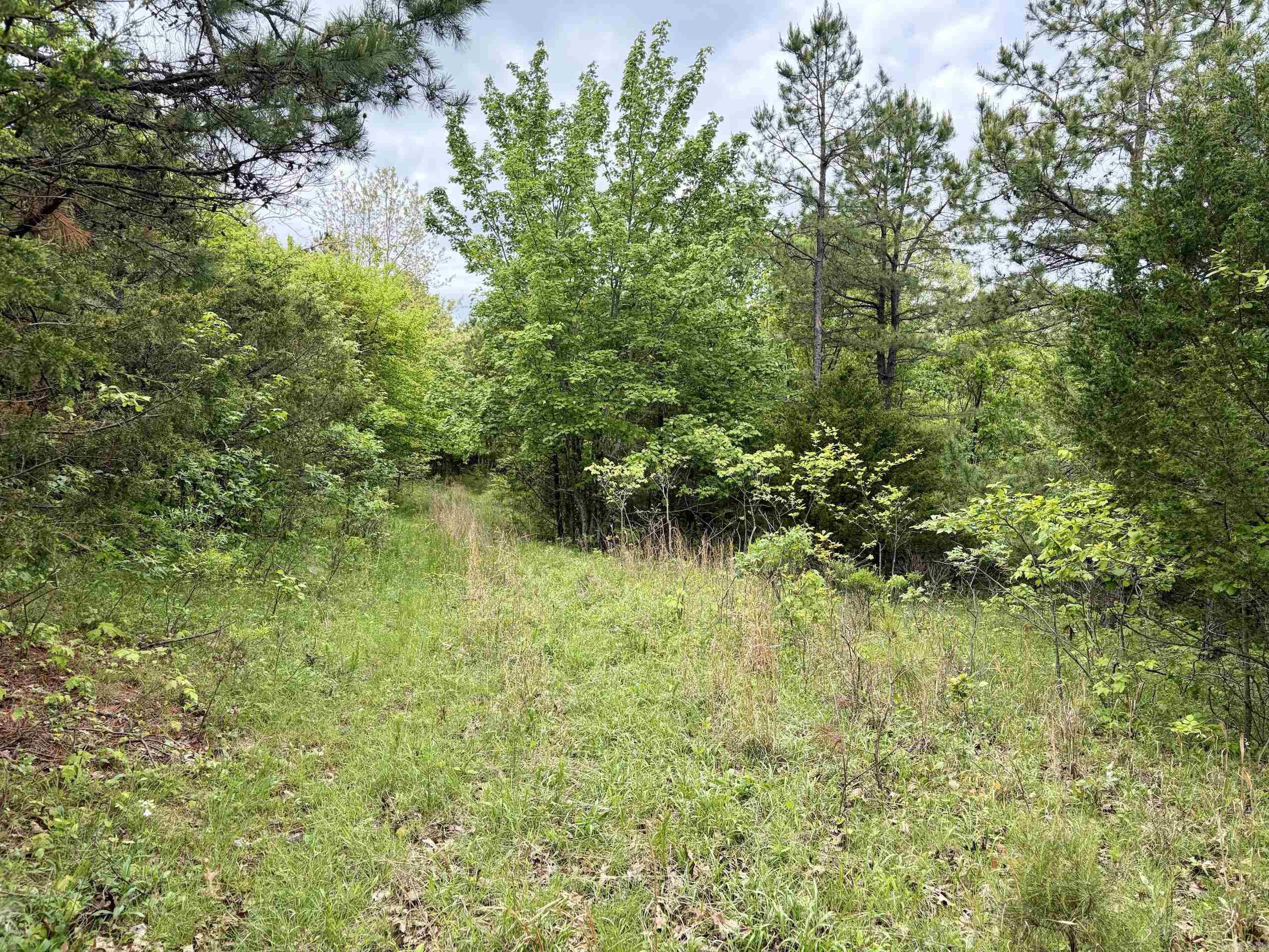 000 HWY 16  Pelsor, AR