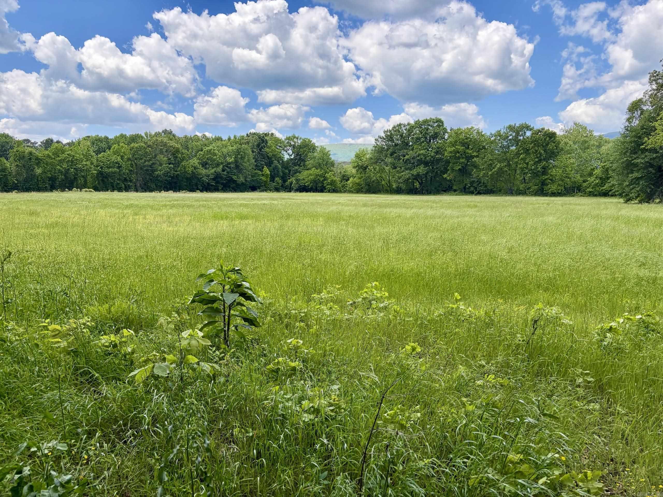 000 HWY 309  Havana, AR