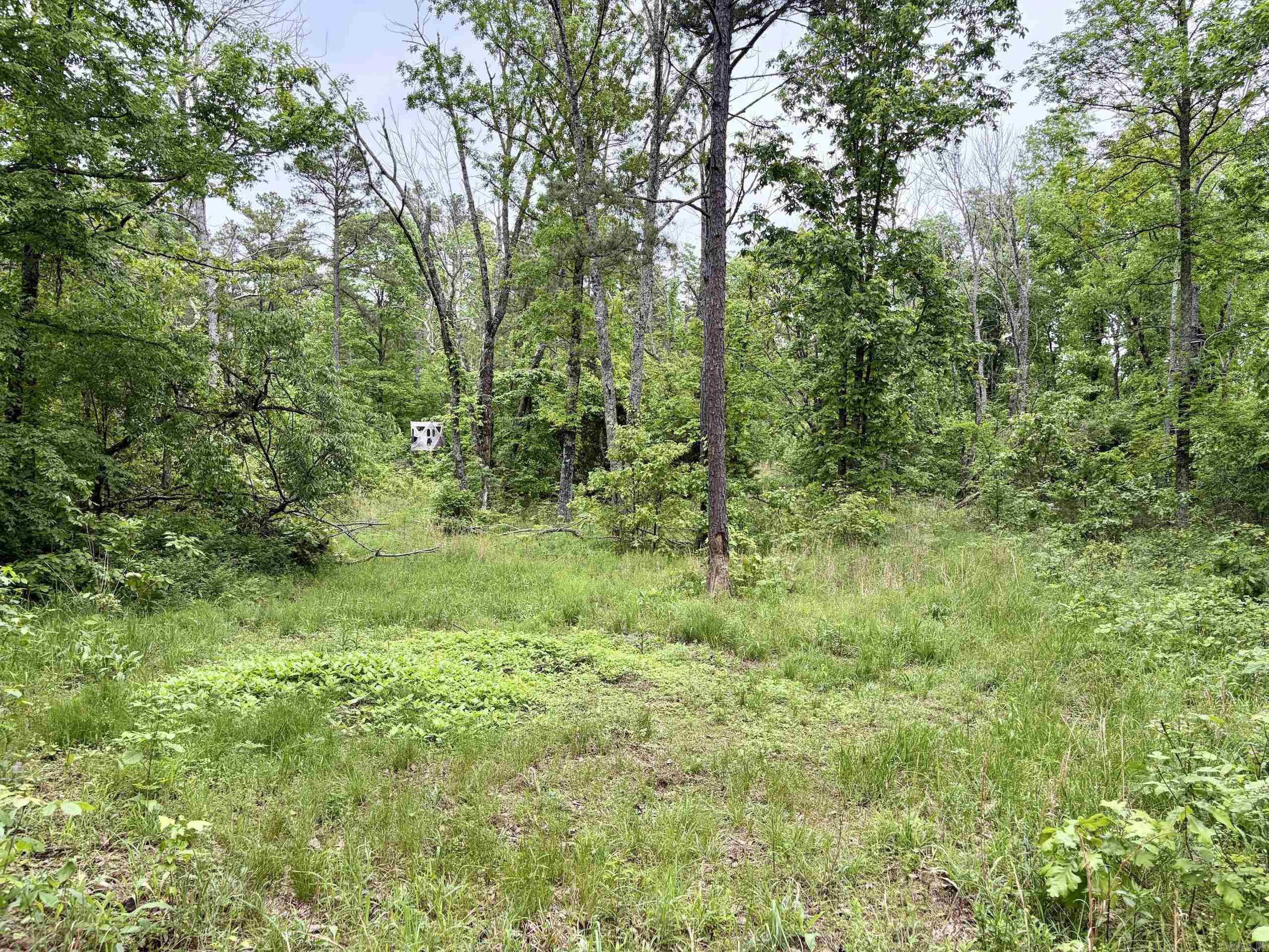 000 HWY 16  Clinton, AR