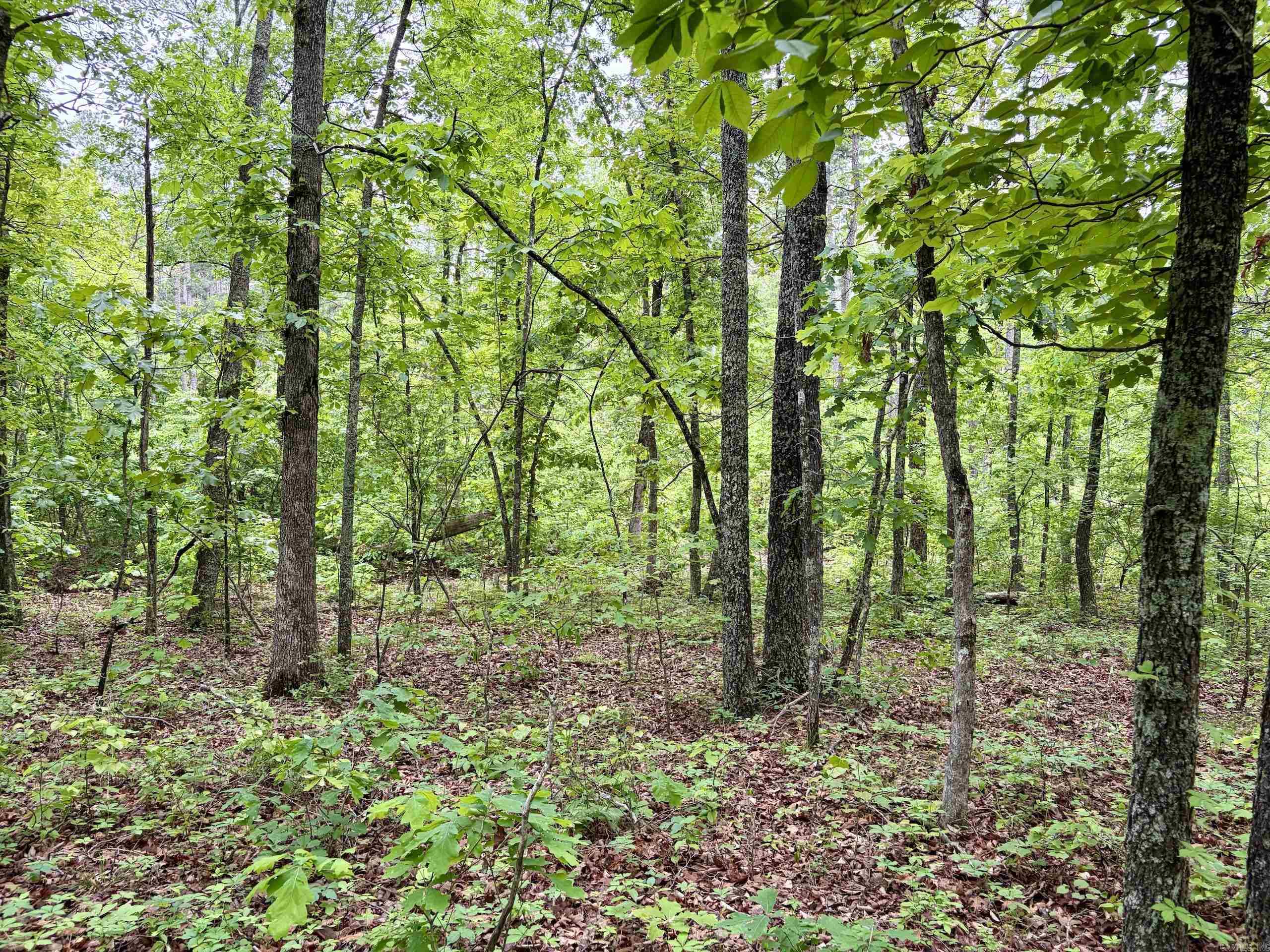 000 HWY 16  Clinton, AR