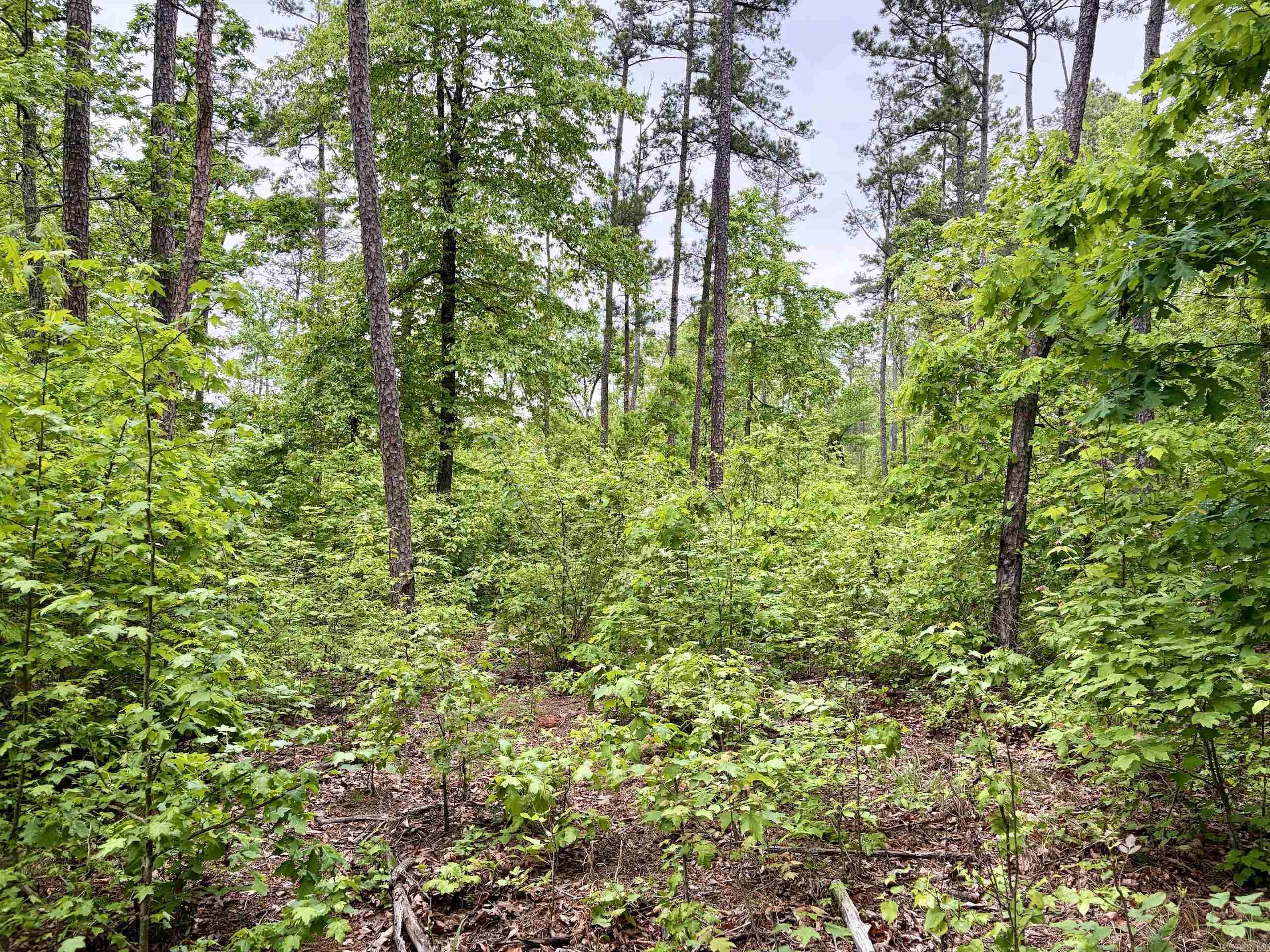 000 HWY 16  Clinton, AR