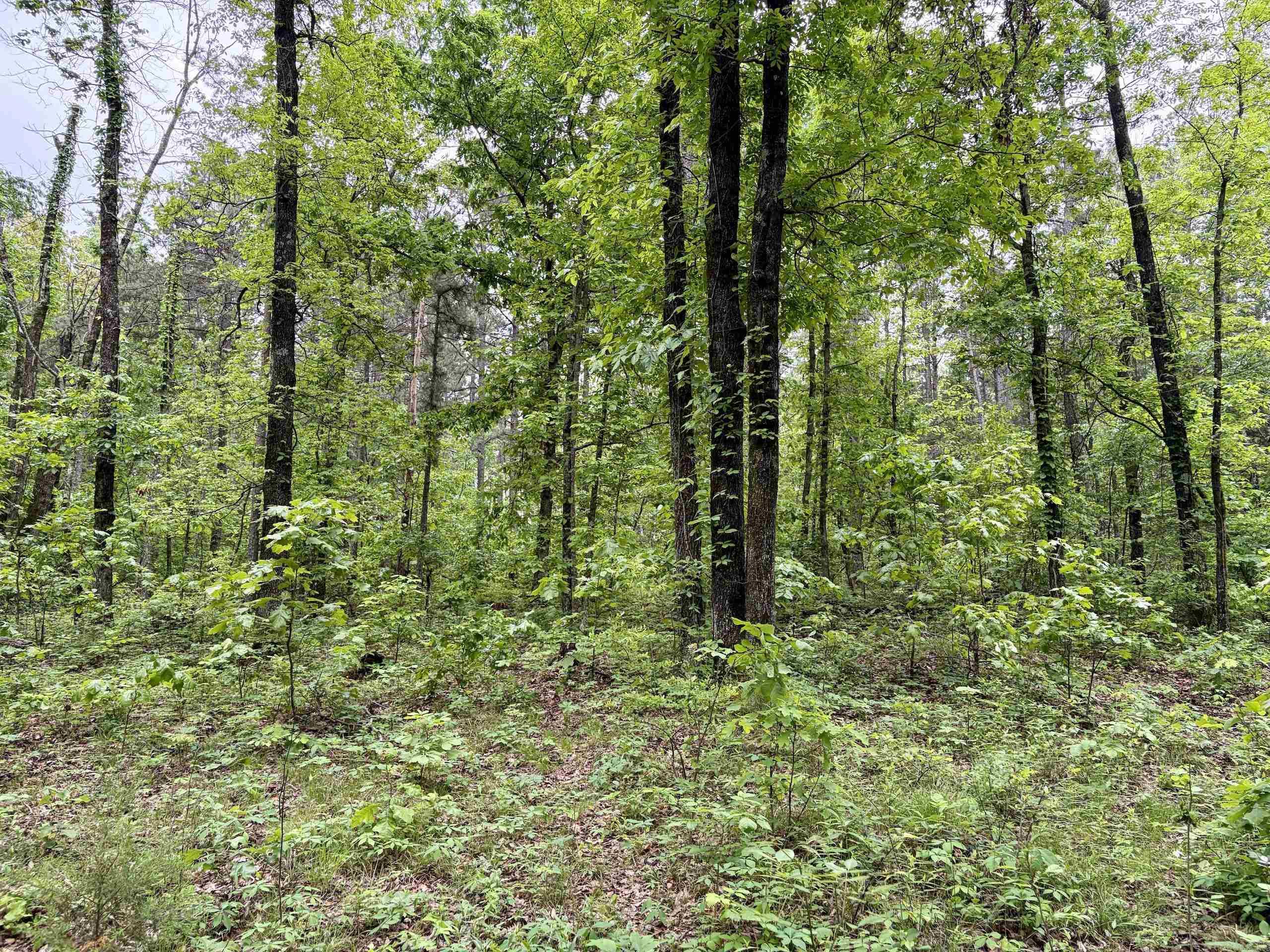 000 HWY 16  Clinton, AR
