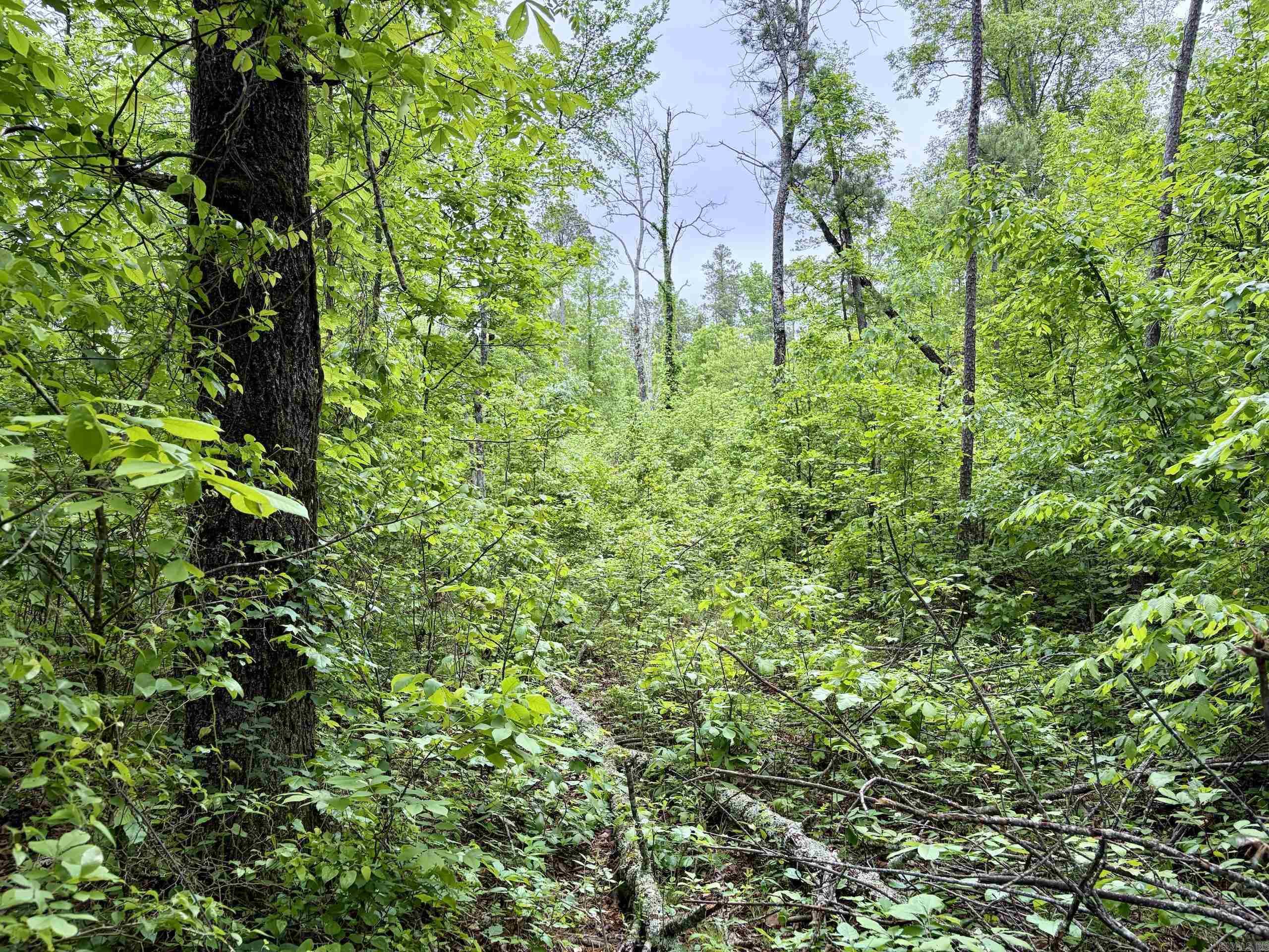 000 HWY 16  Clinton, AR