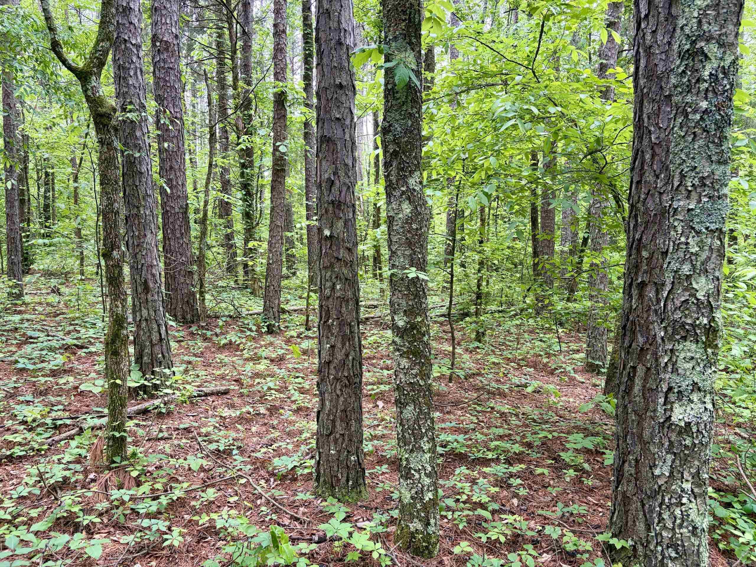 000 HWY 16  Clinton, AR