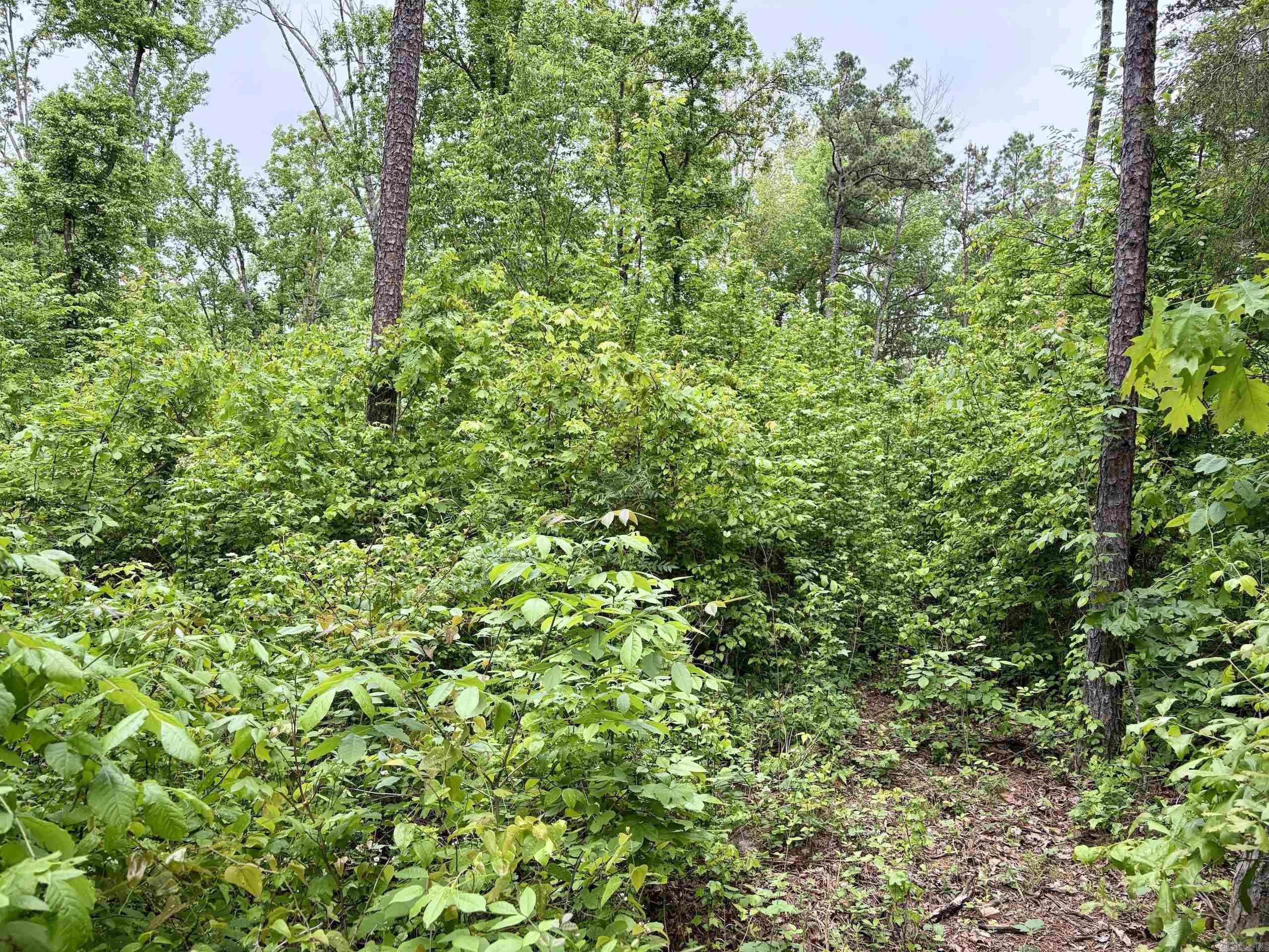 000 HWY 16  Clinton, AR