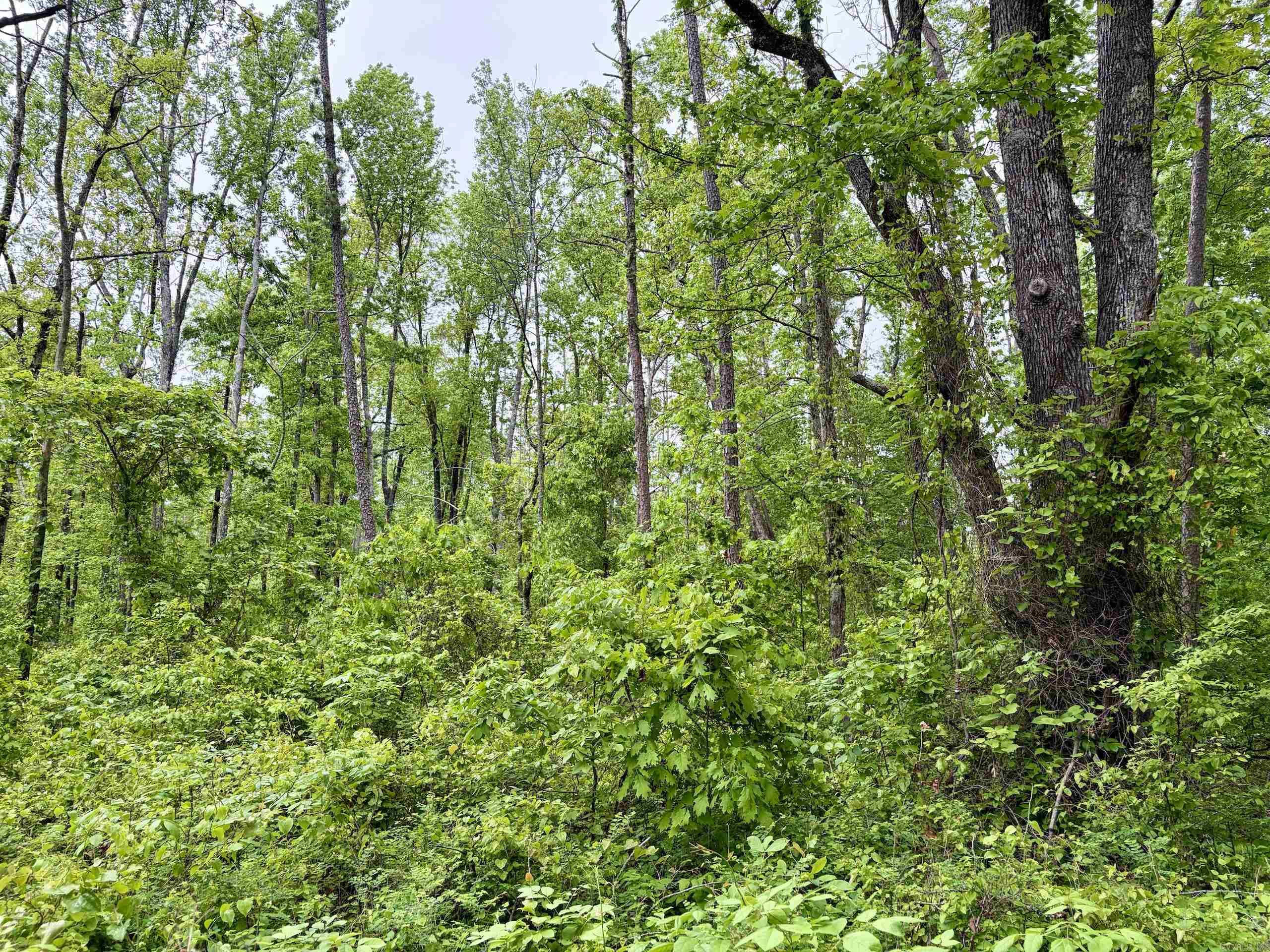 000 HWY 16  Clinton, AR