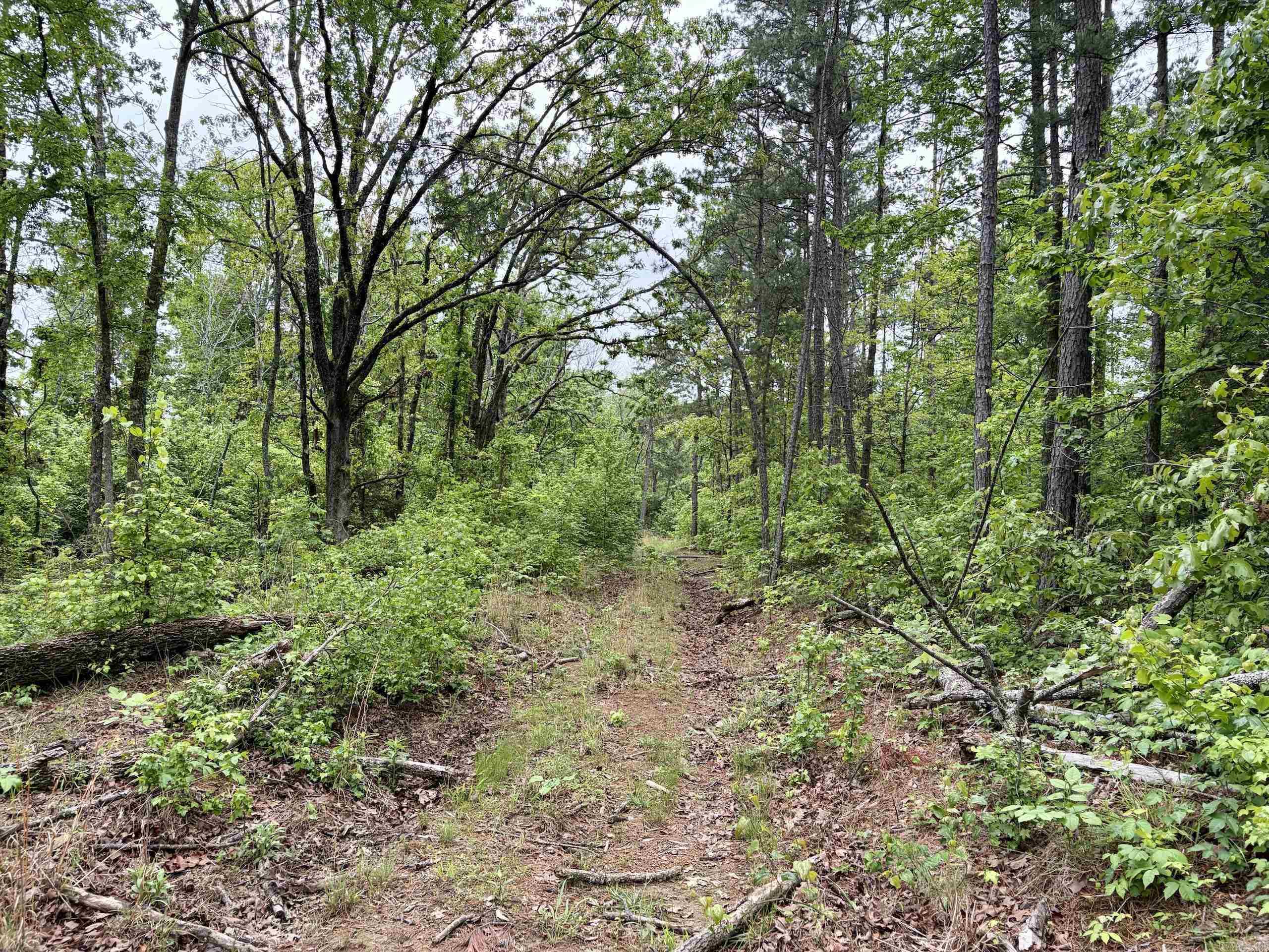 000 HWY 16  Clinton, AR