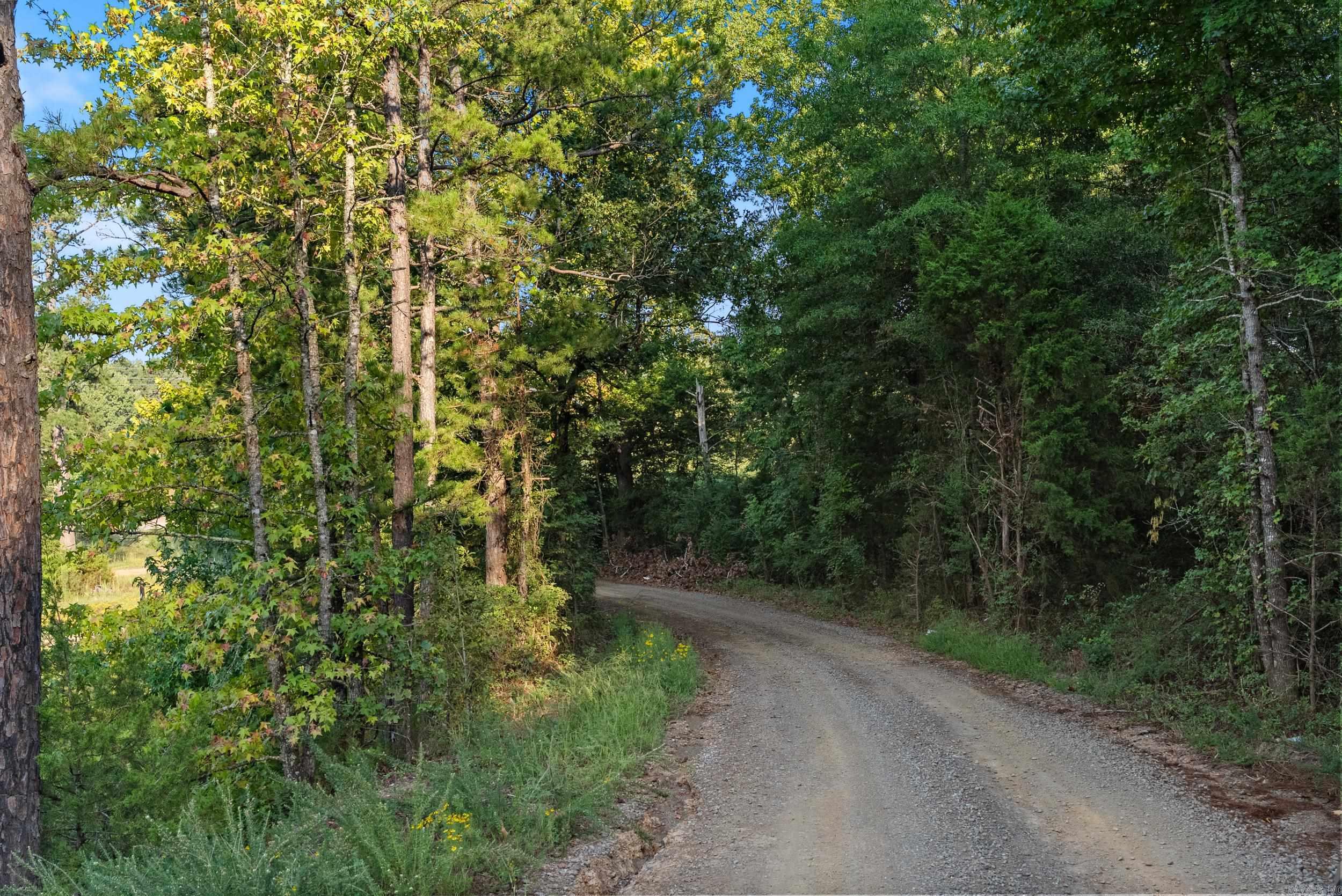 00 Mountain Street  Perryville, AR