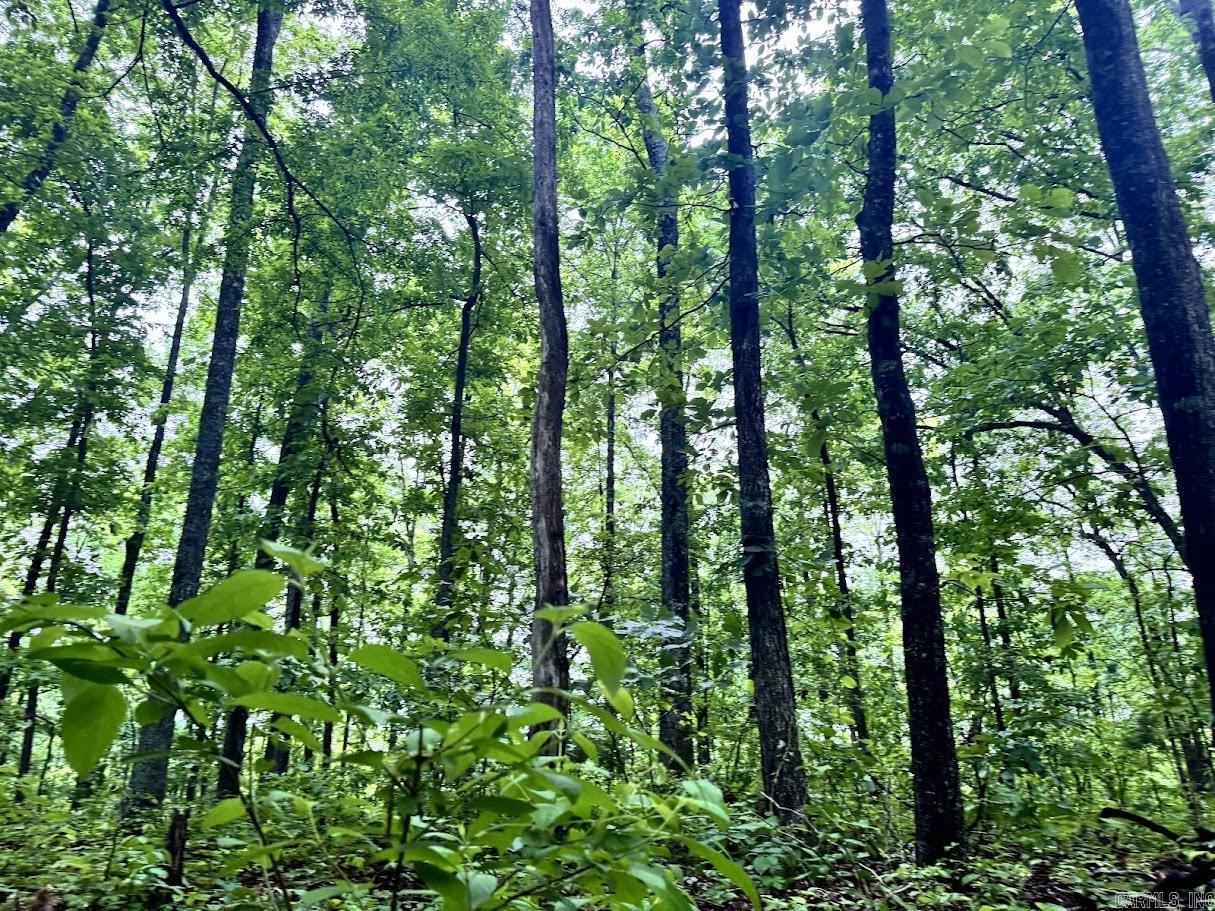 0 Herpel  Mountain View, AR