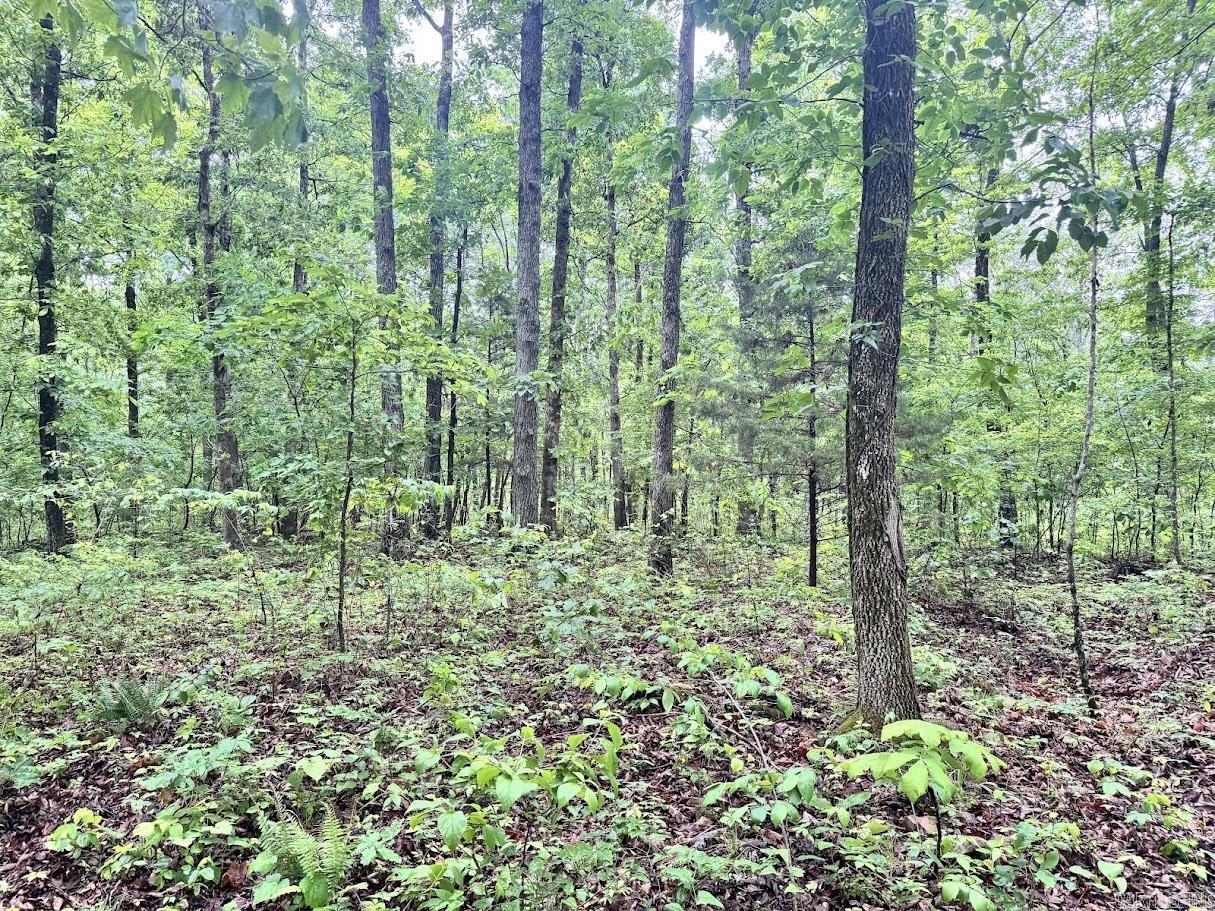 0 Herpel  Mountain View, AR