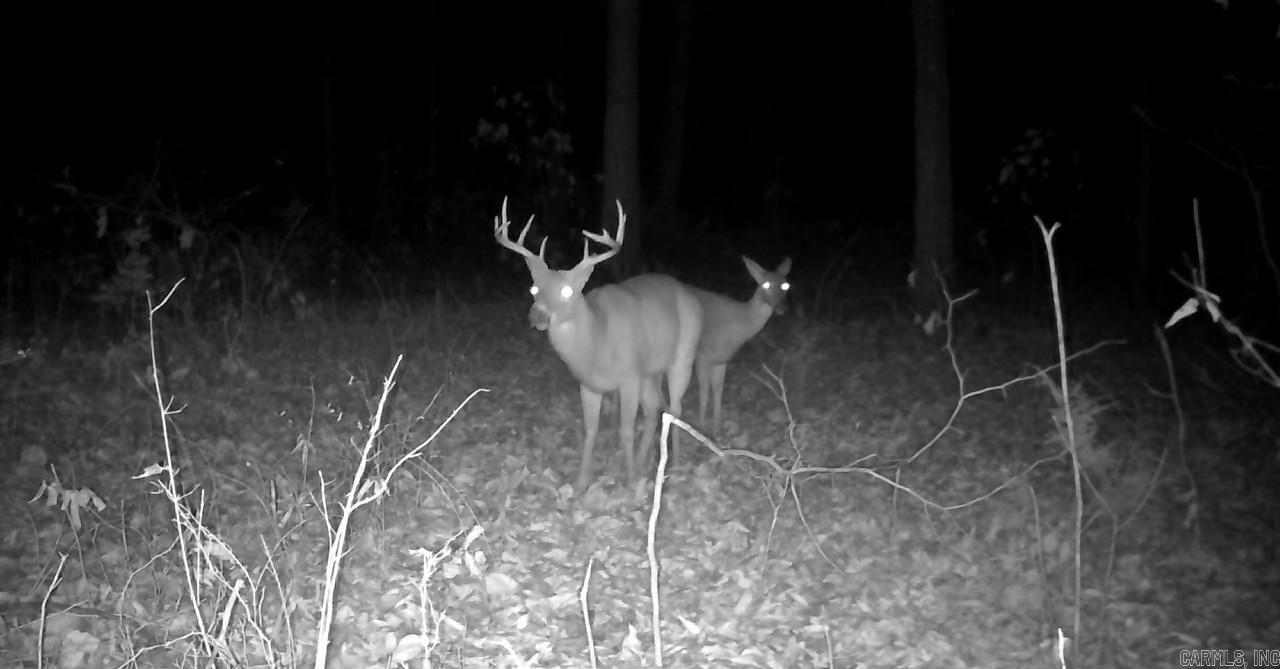 0 Herpel  Mountain View, AR