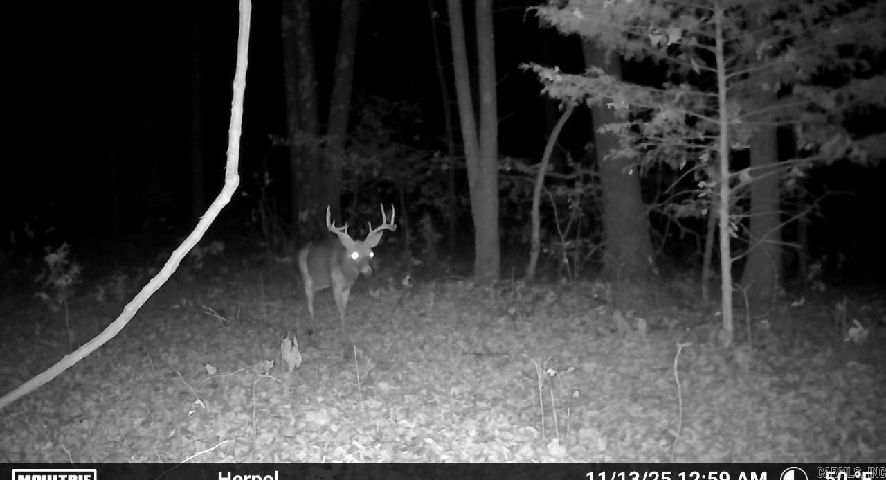 0 Herpel  Mountain View, AR