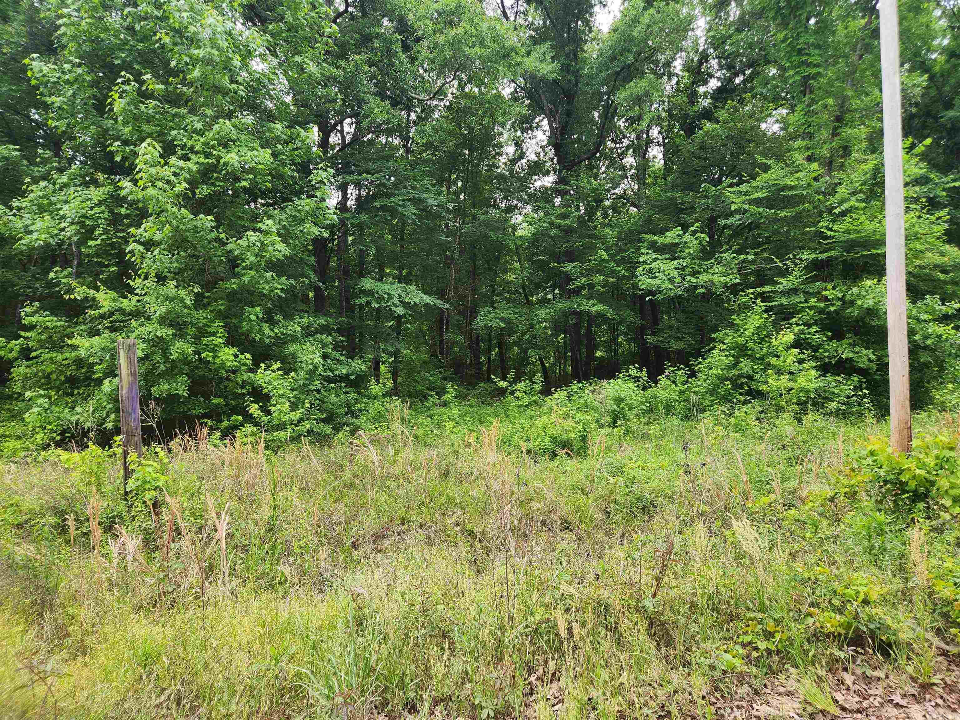 314 Arappaho  Star City, AR