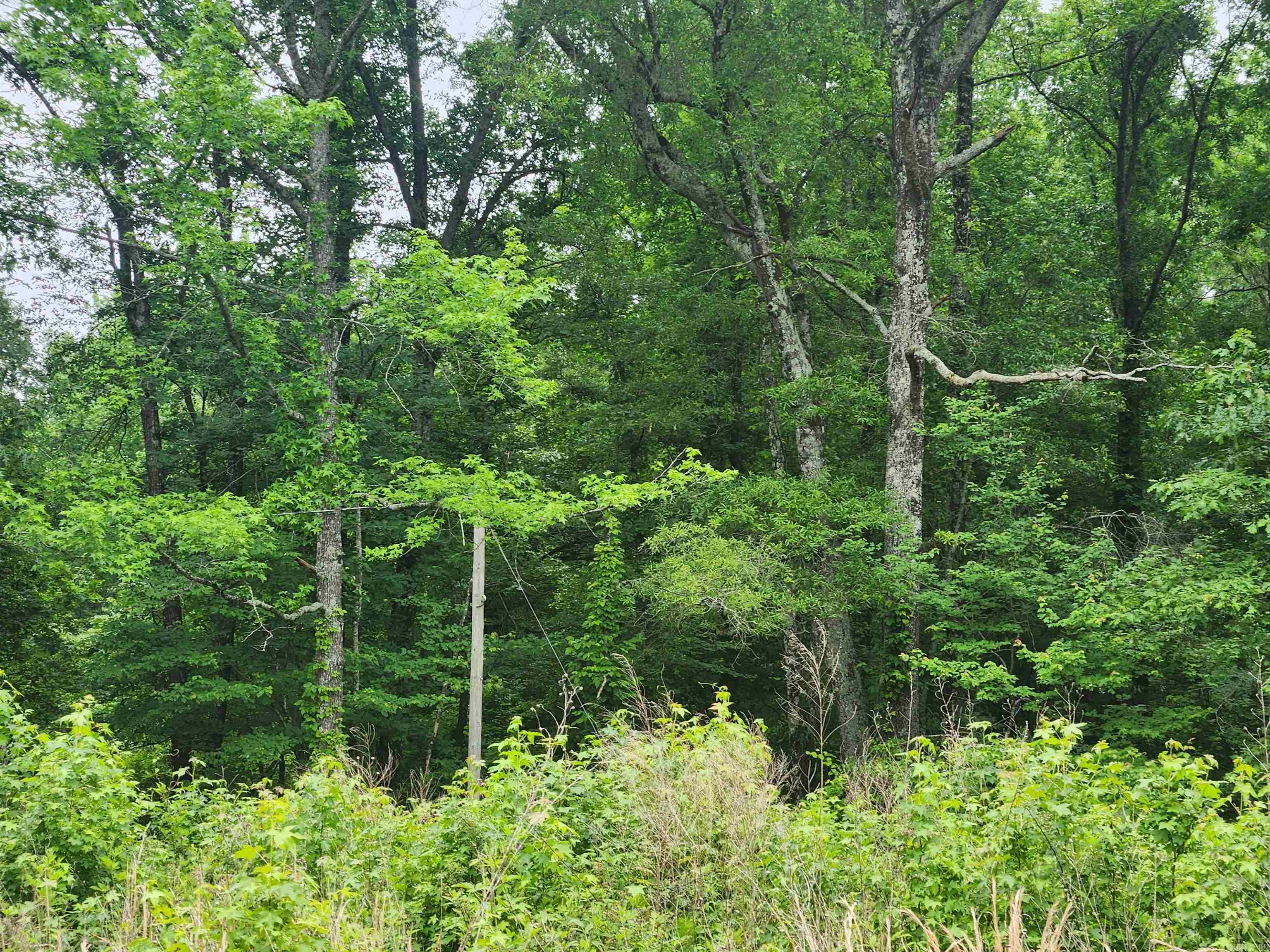314 Arappaho  Star City, AR