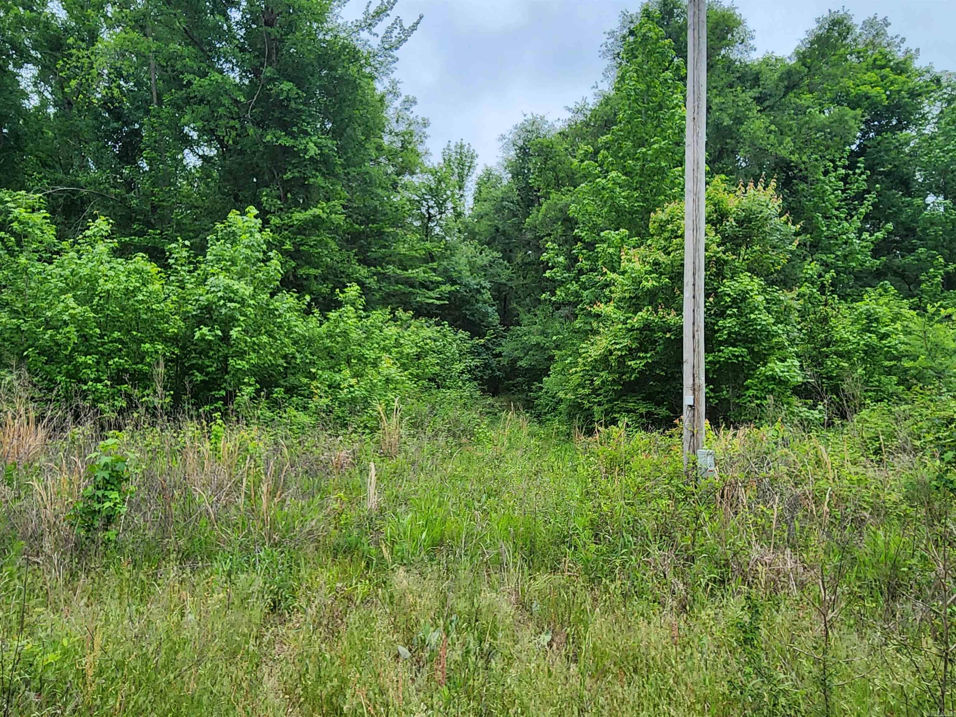 314 Arappaho  Star City, AR