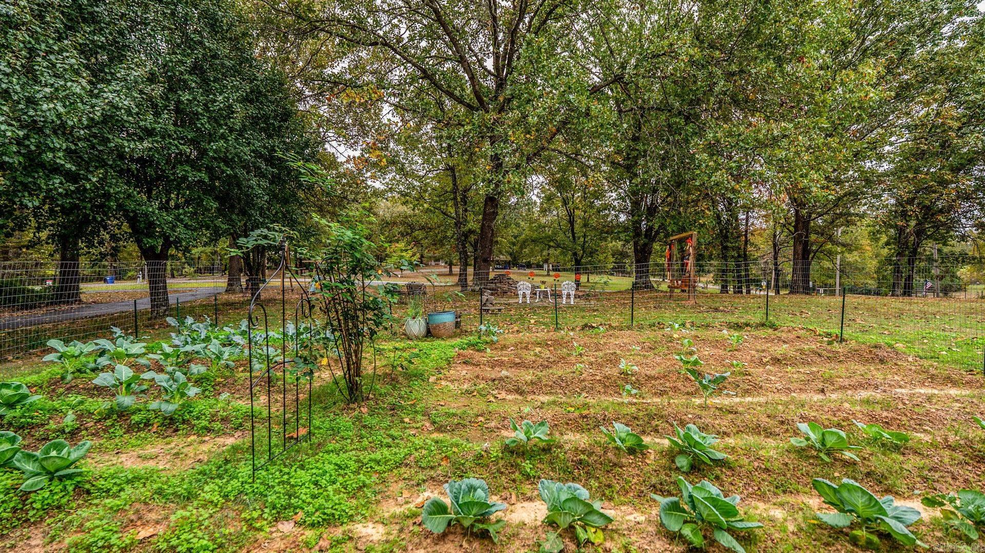 6 W Springhill  Greenbrier, AR