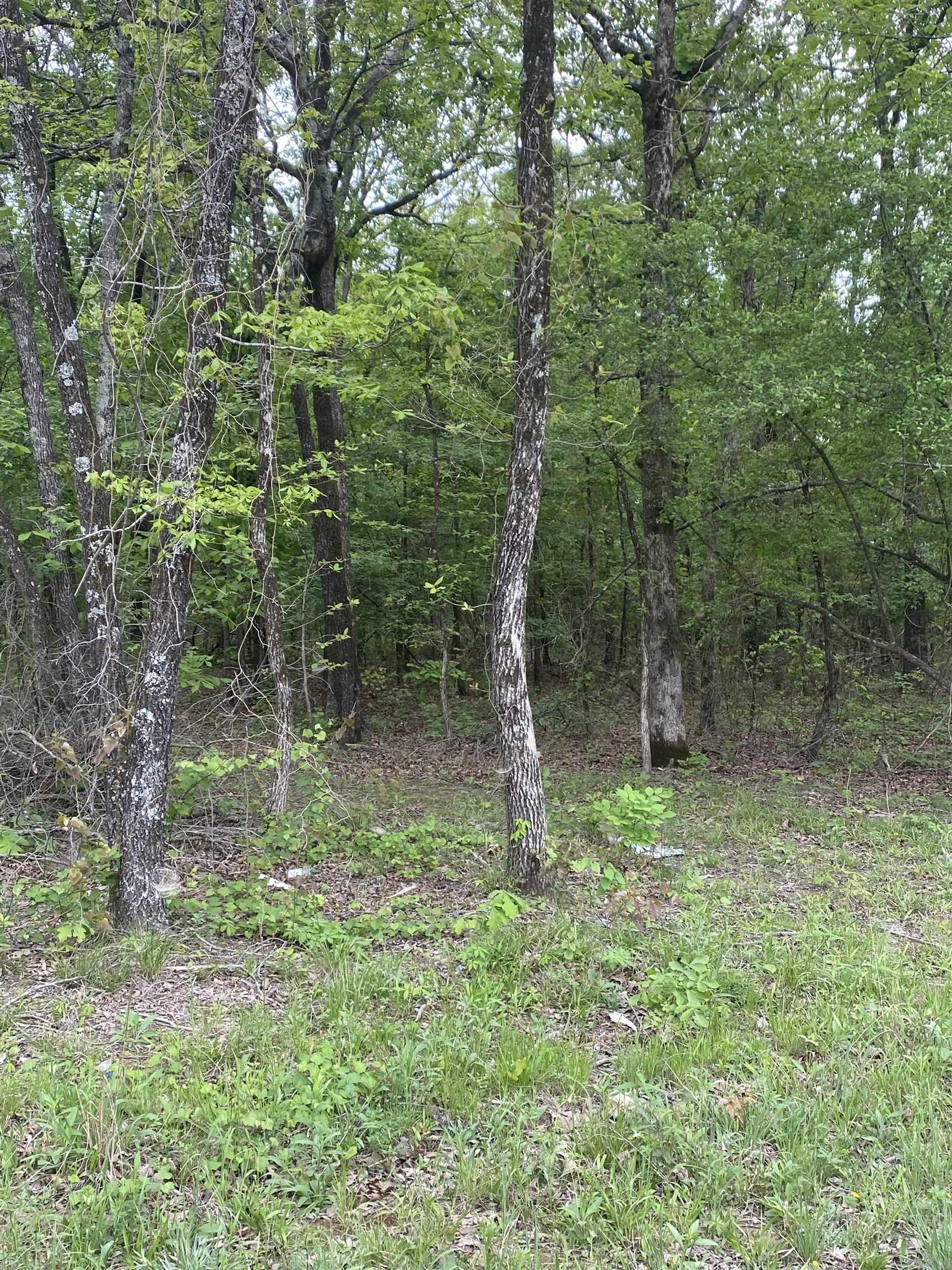 00 Jackson 347  Bradford, AR